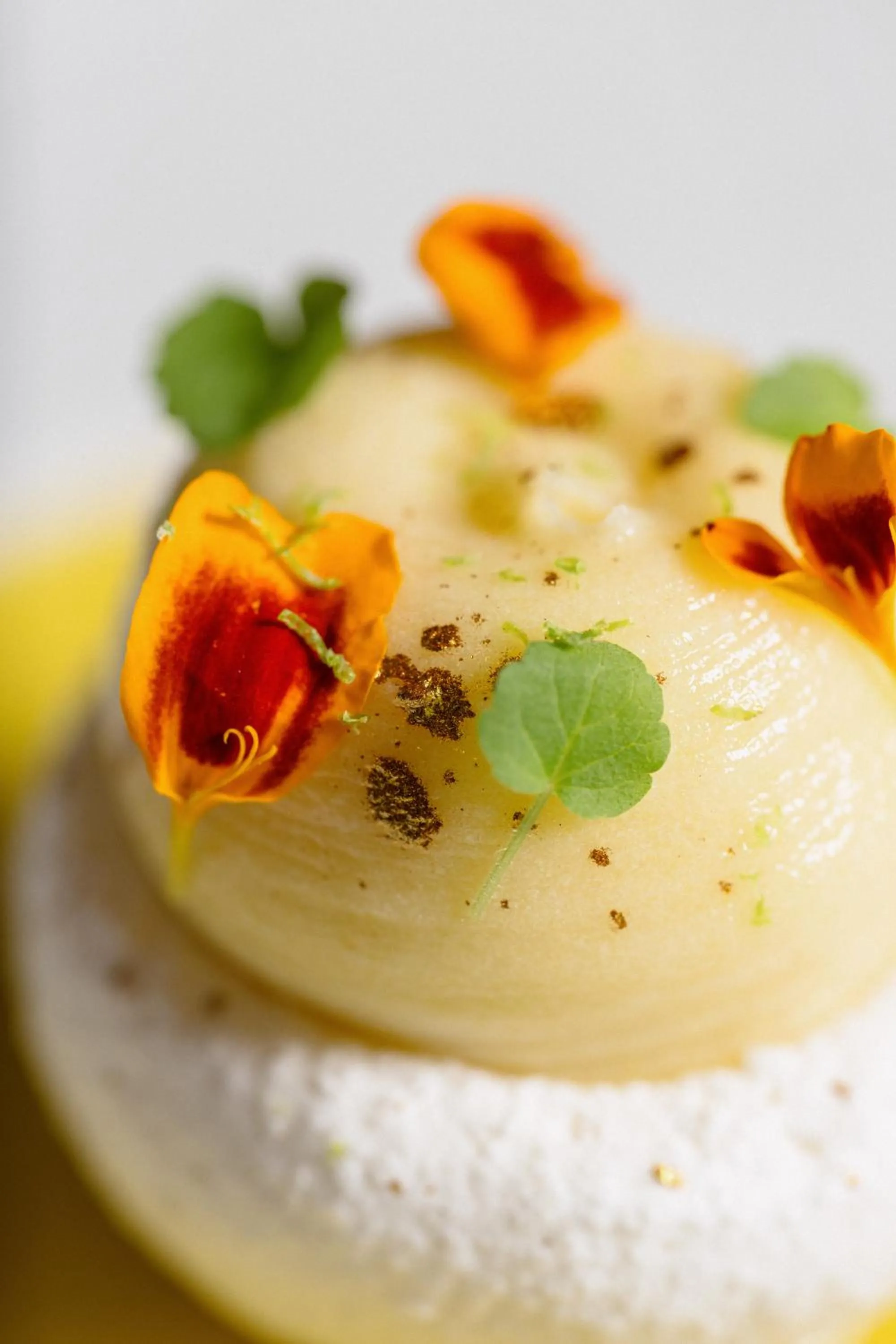 Restaurant/places to eat in Hotel Bloemendal, near Aachen