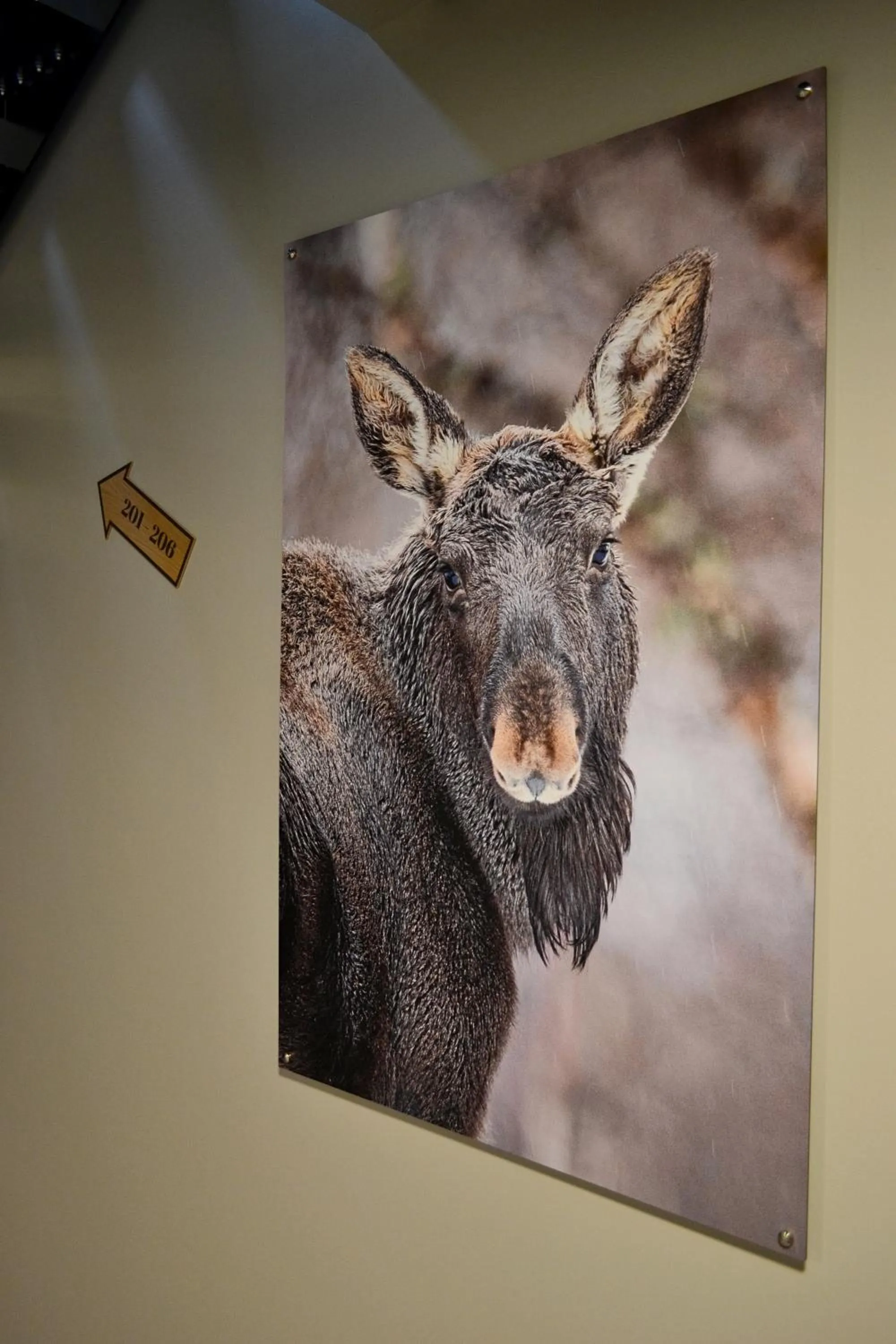 Property building in Andenes Suitehotel