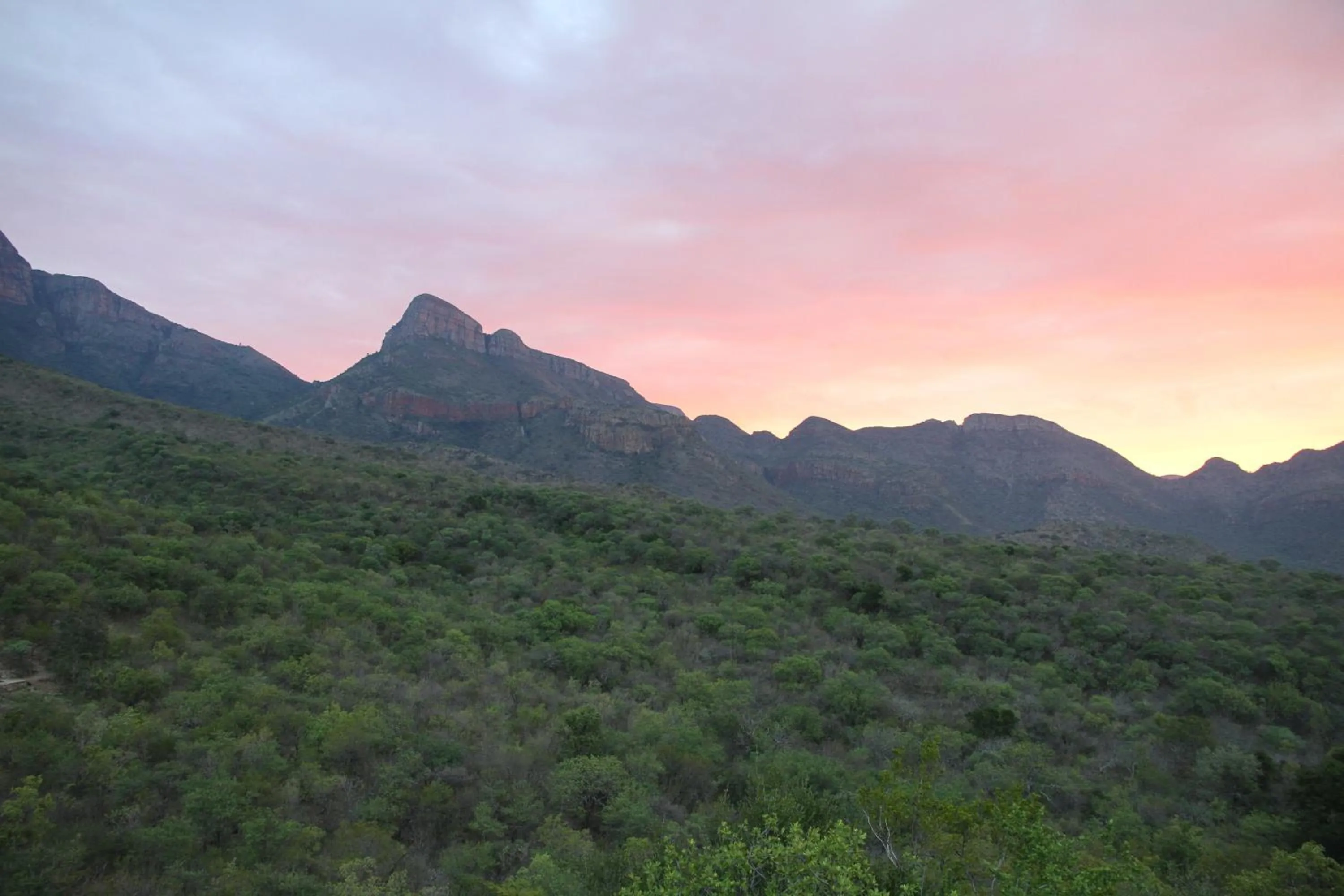 Summer in umVangati House