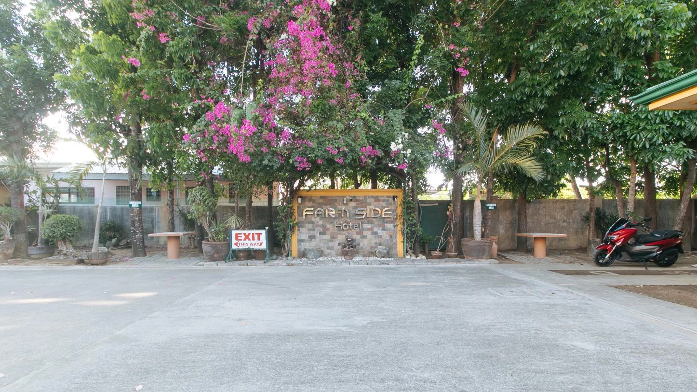 Garden in RedDoorz @ Farm Side Hotel Laoag City