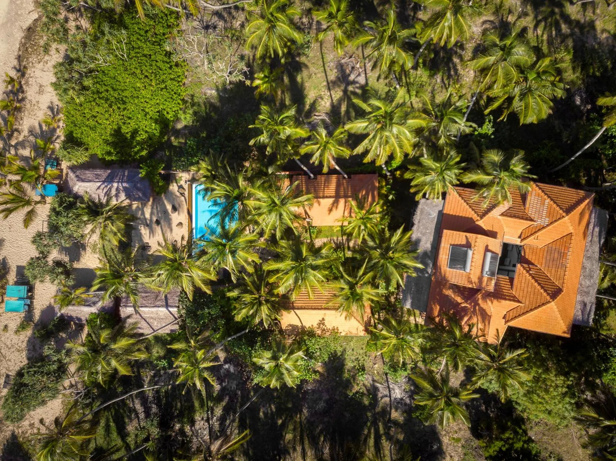 Bird's eye view, Bird's-eye View in Seven Turtles