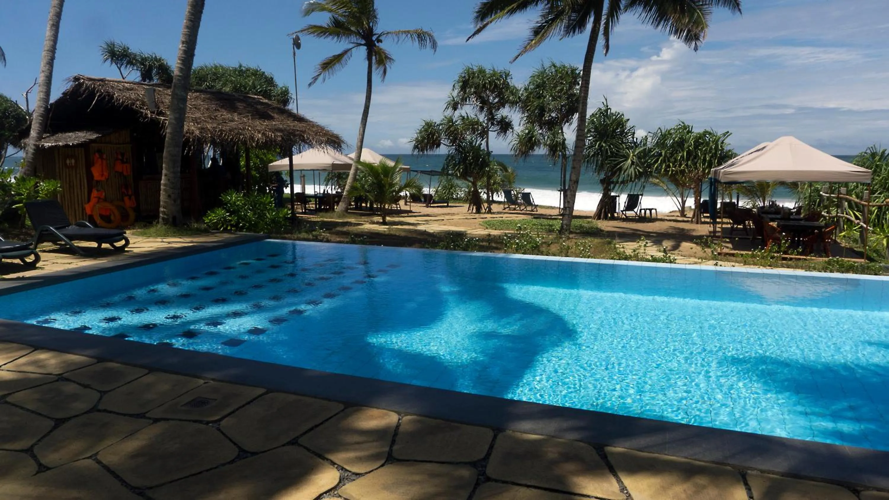 Swimming Pool in Seven Turtles