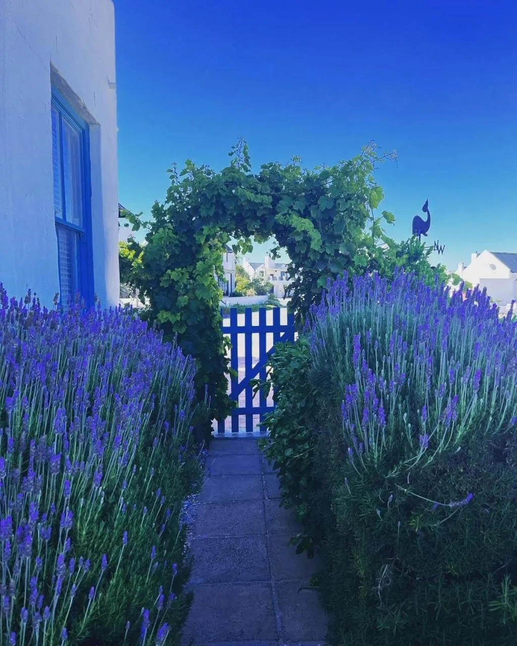 Garden in Gilcrest Place Guest House