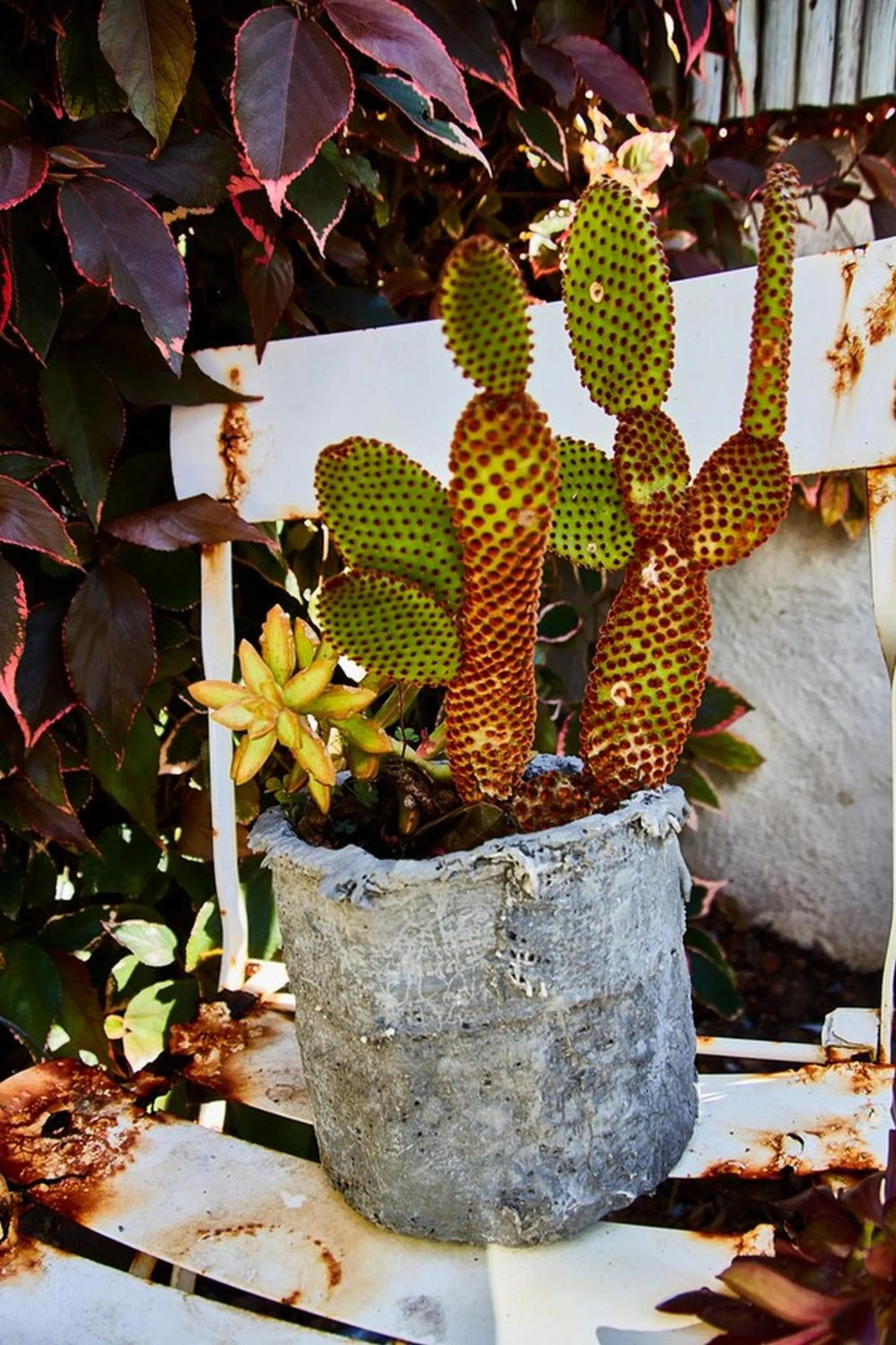 Property building in Gilcrest Place Guest House