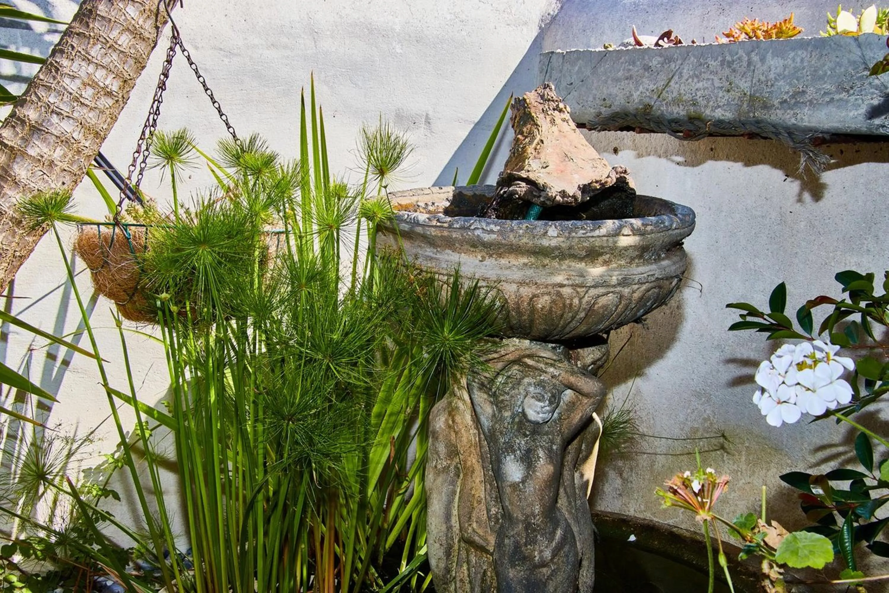 Garden in Gilcrest Place Guest House