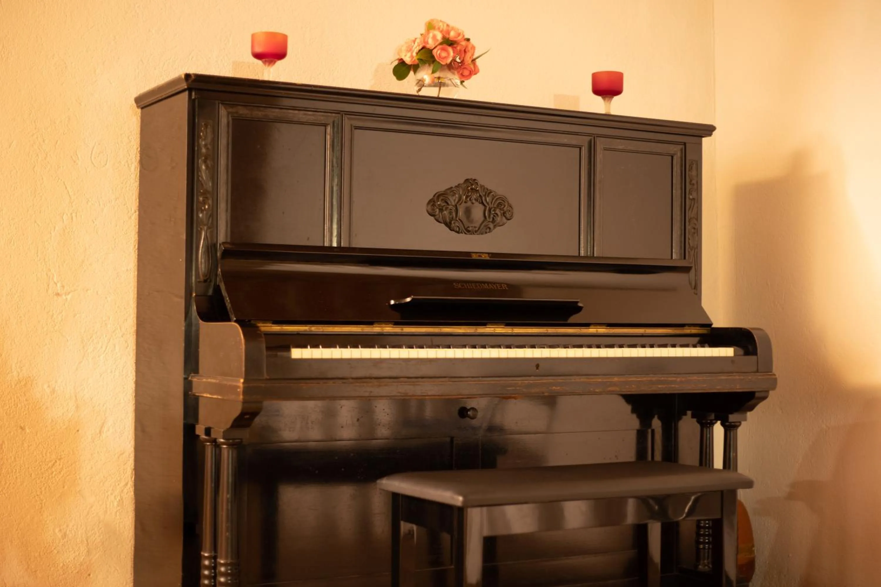 Garden in Antica Casa Balsari