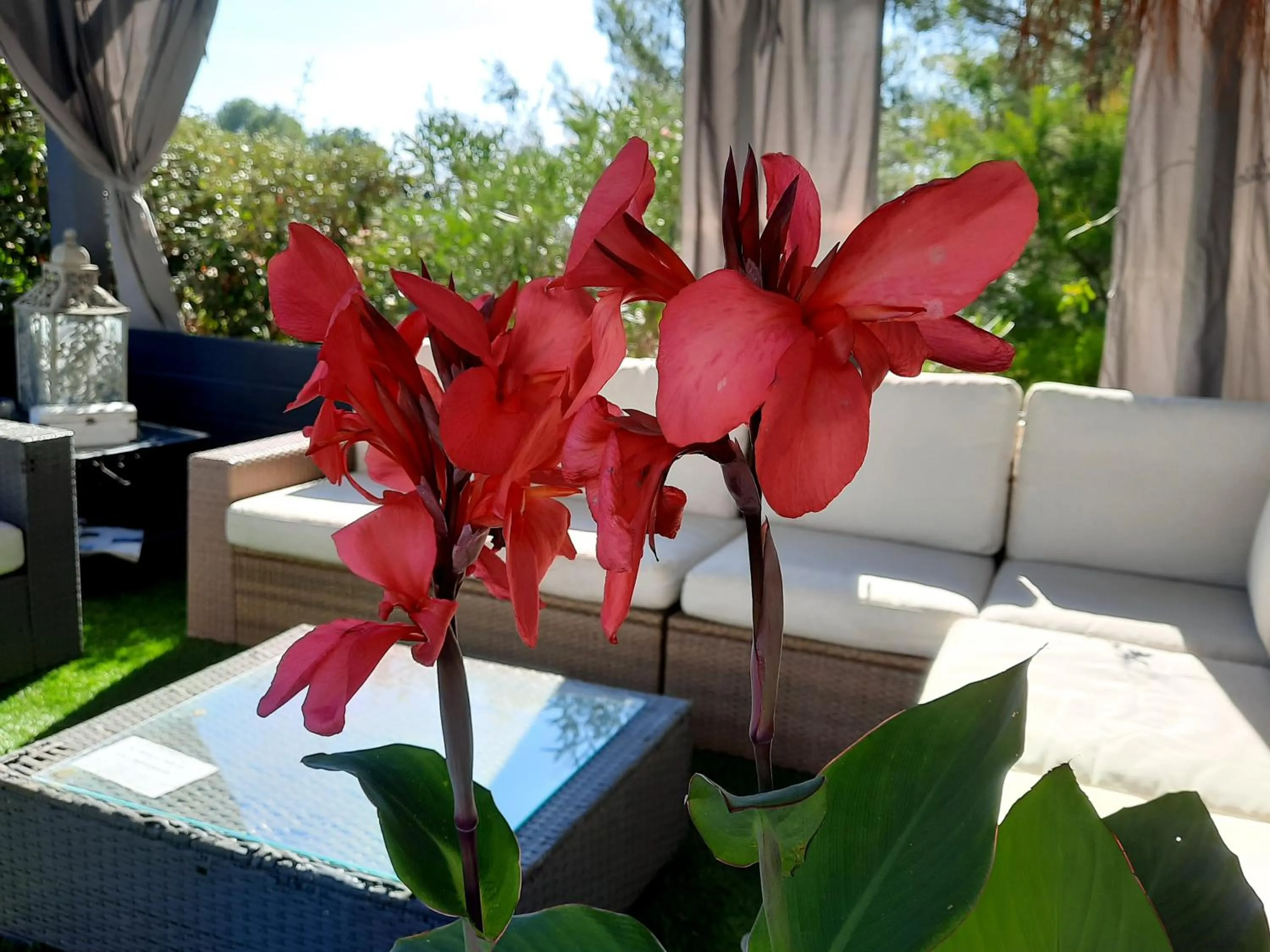 Day in L Olivadou B&B