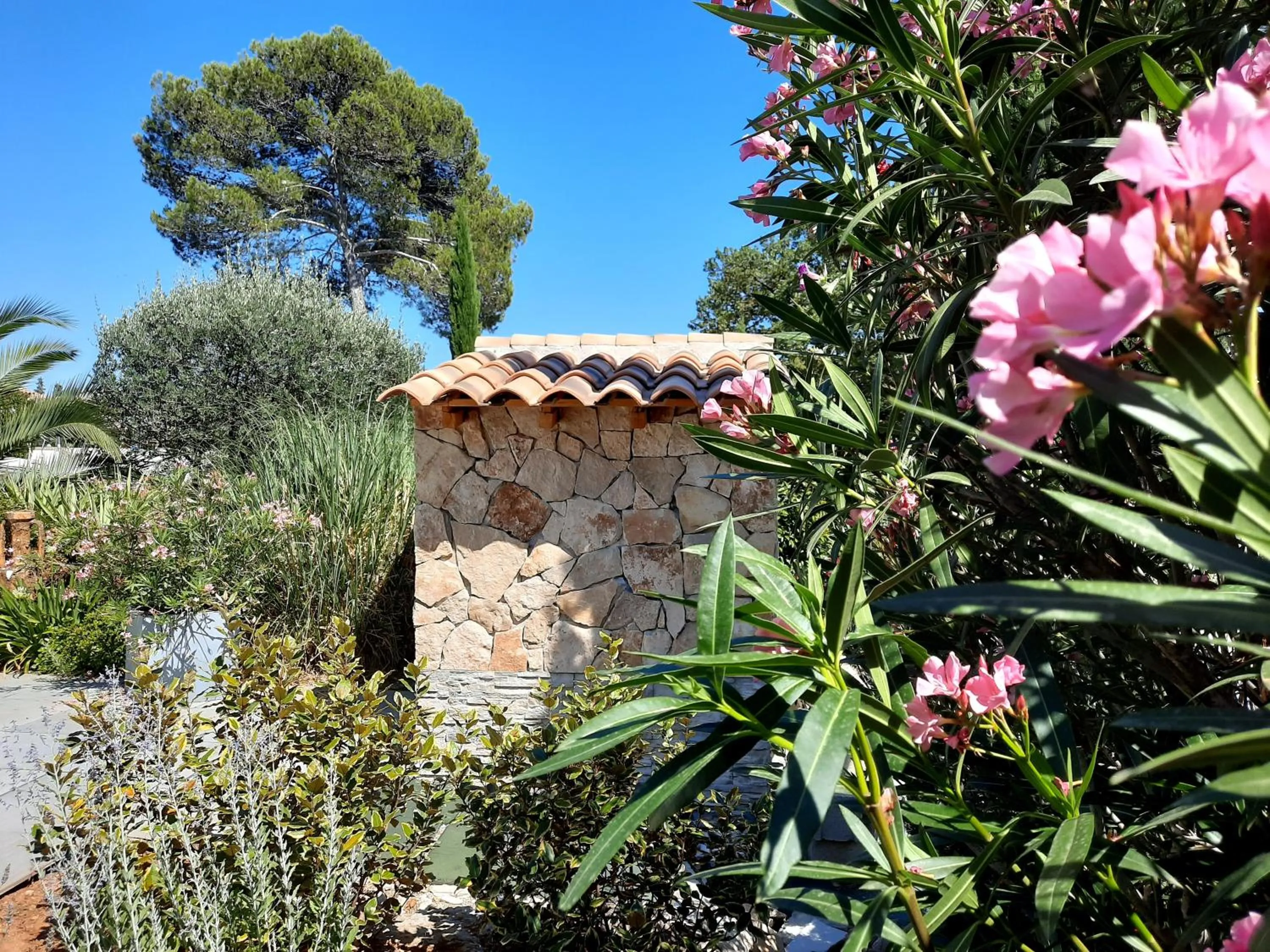 Spring in L Olivadou B&B