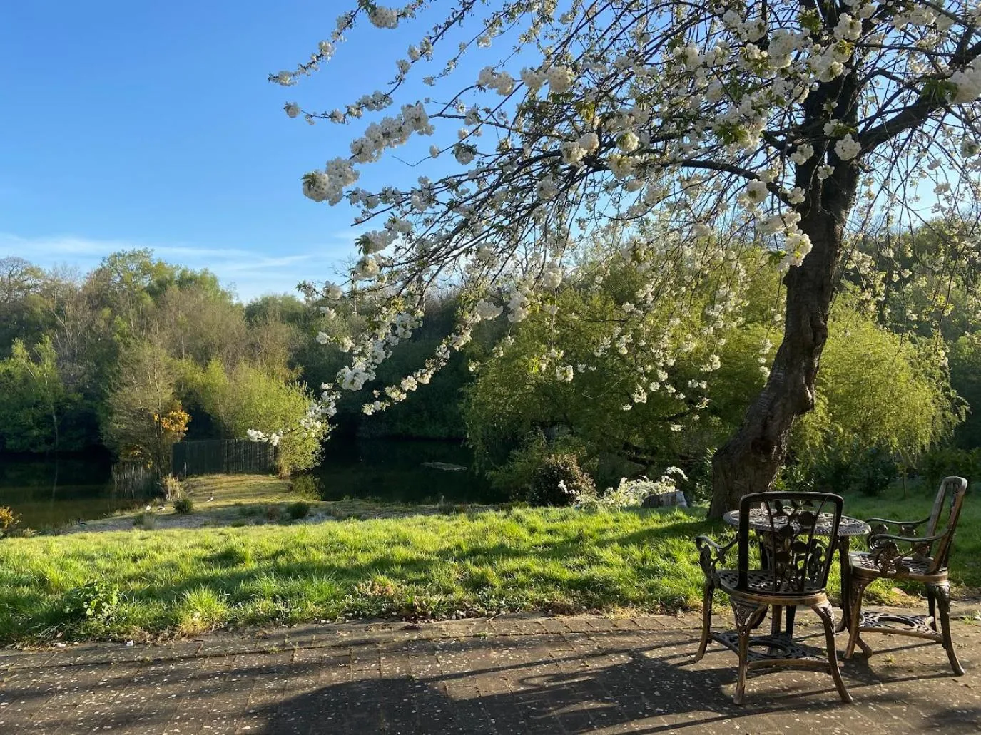 Lake view in Inn On The Lake