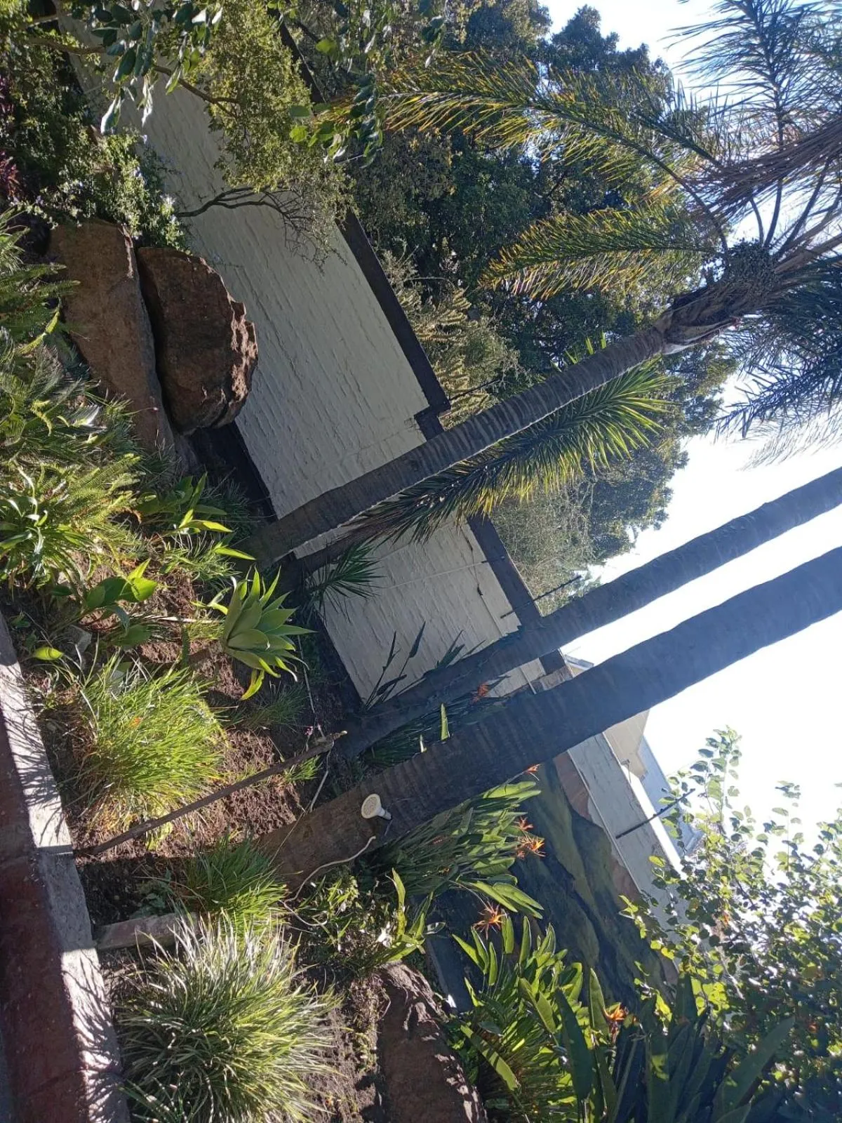 Garden in Ecotel Midrand