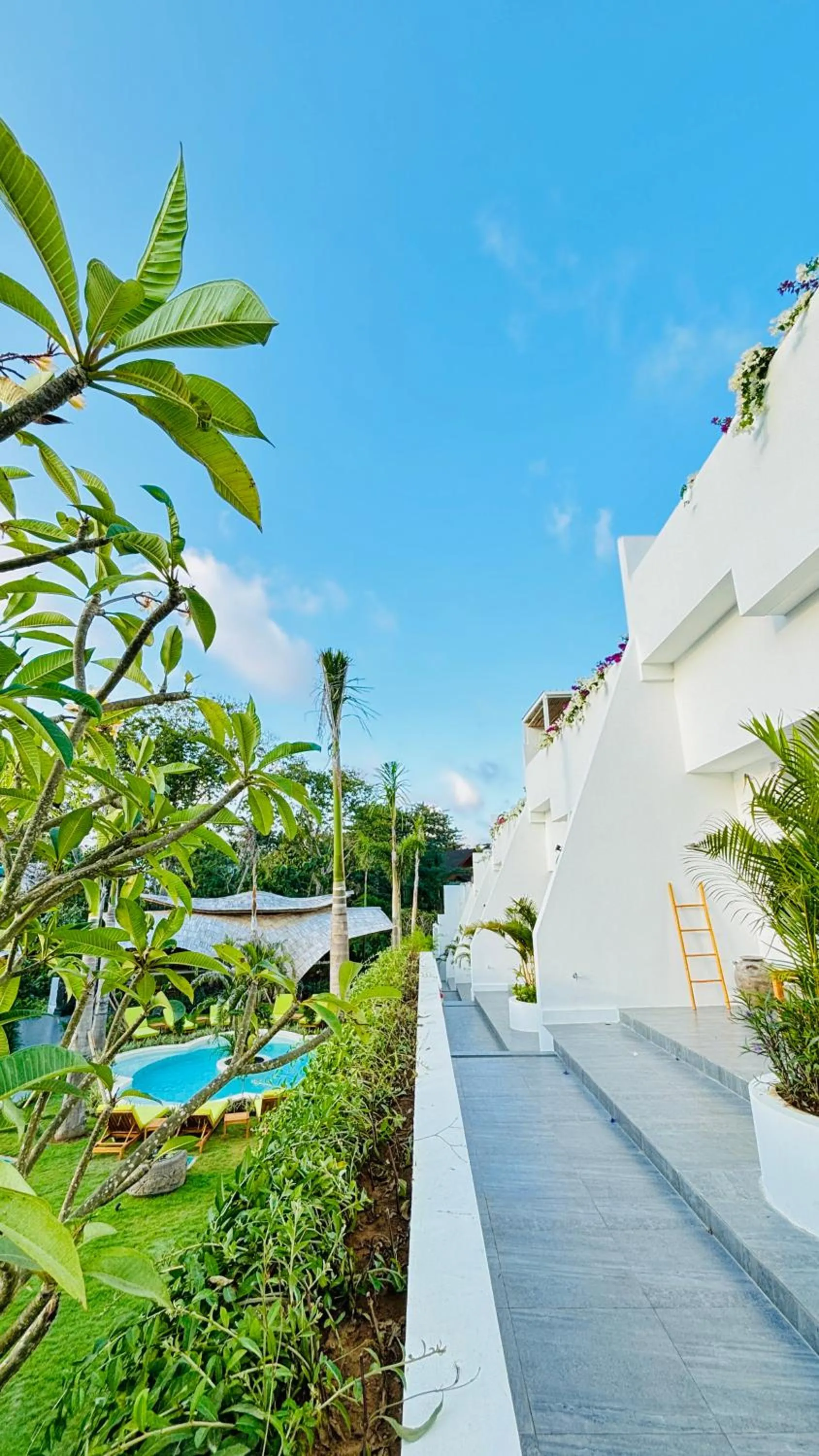 Garden in Mantra Wellness Center