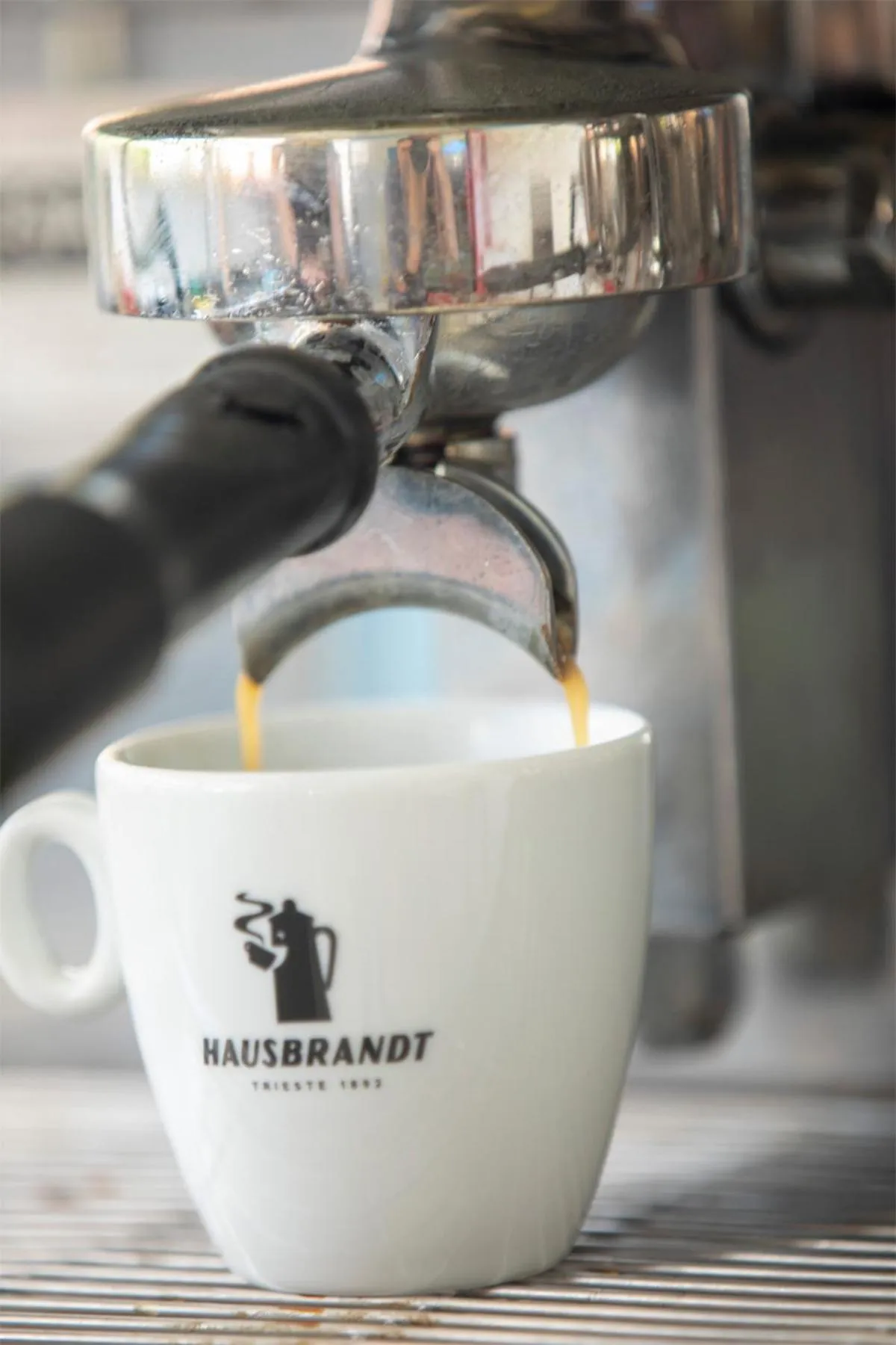 Restaurant/places to eat in Menes Hotel