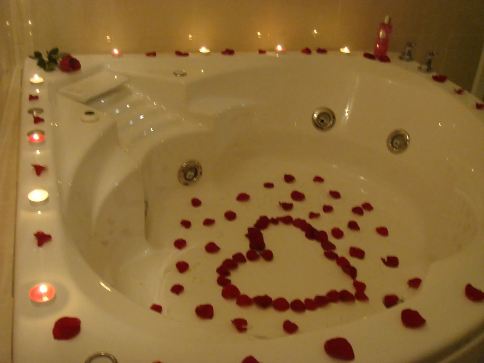 Other in Hotel La Torre San Francisco