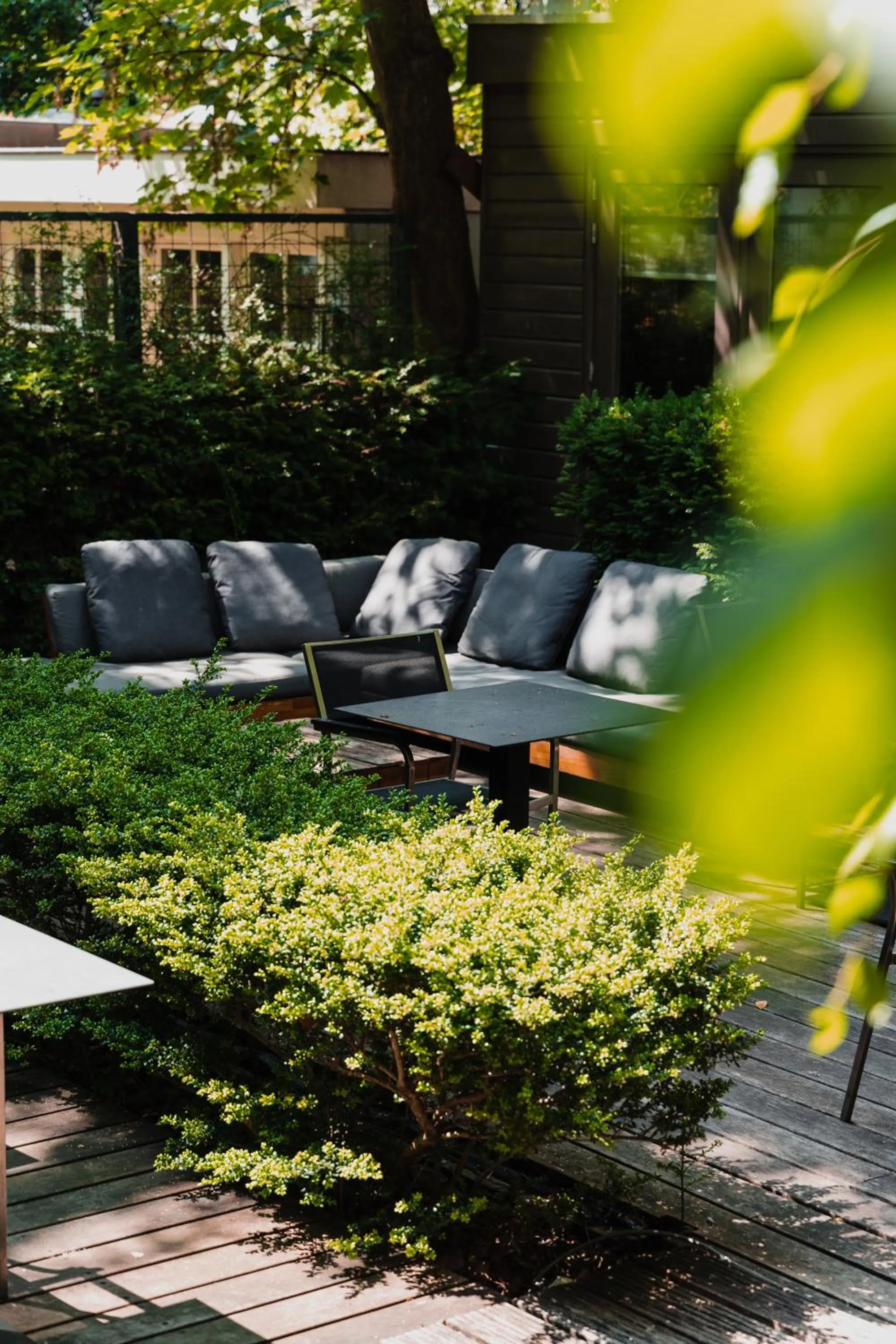 Garden in Hotel Roemer Amsterdam