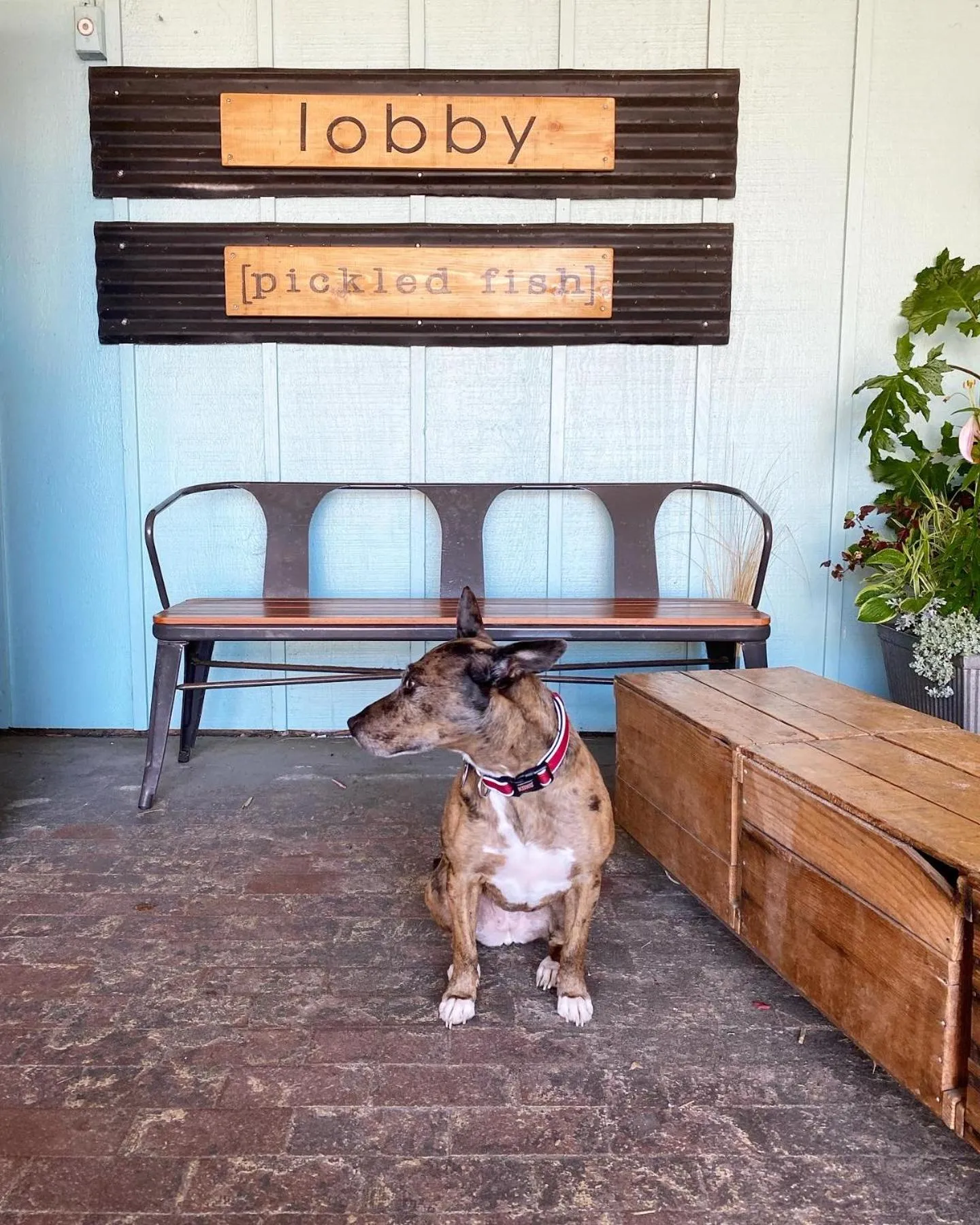 Facade/entrance in Adrift Hotel