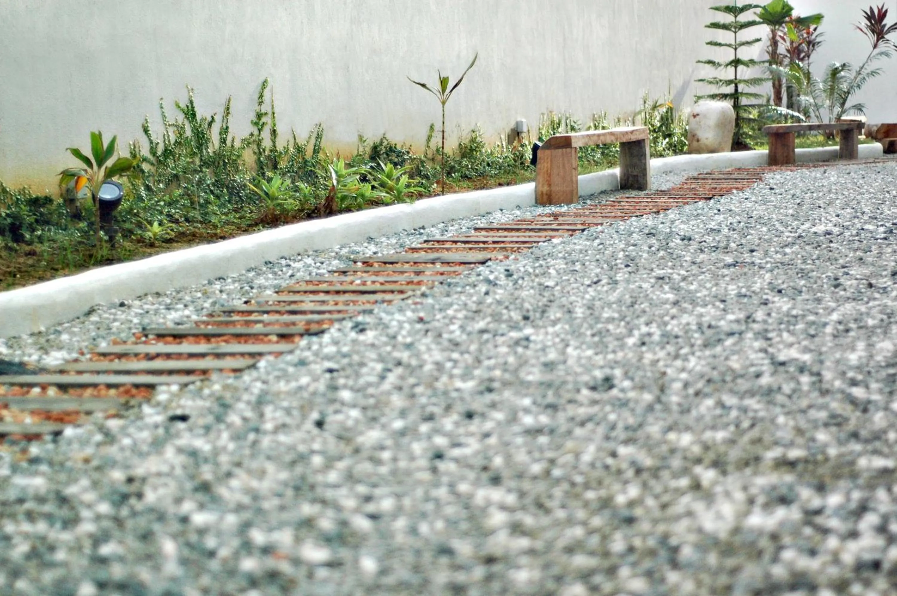 Garden in The Explorer Hotel