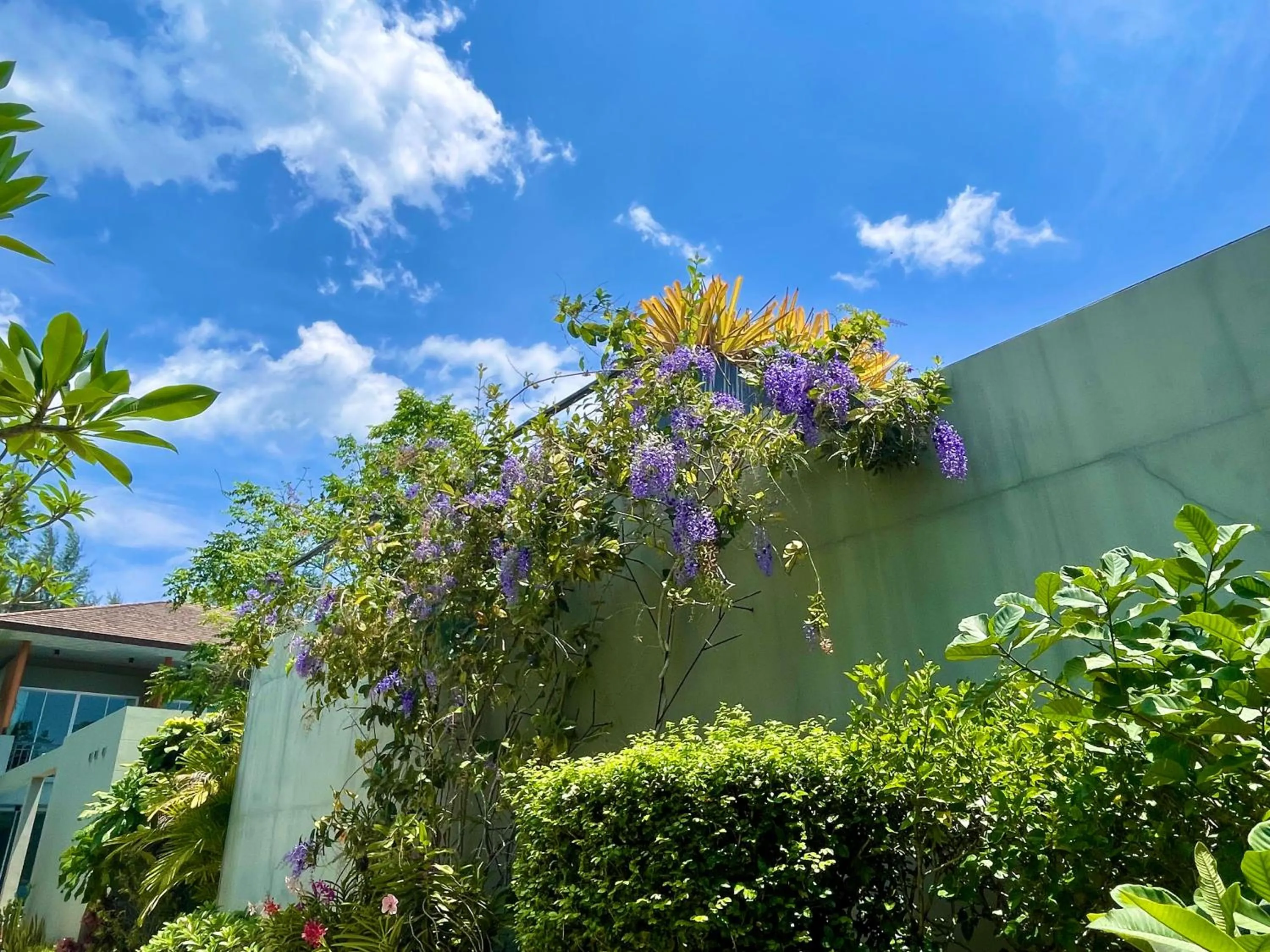 Garden in Khaolak Forest Resort