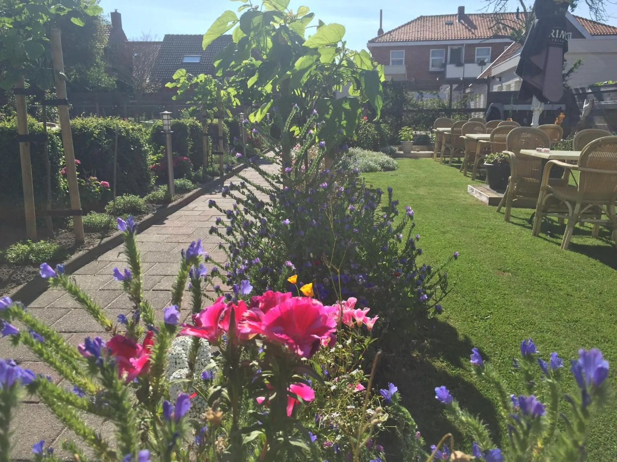 Garden in Hotel Valkenhof