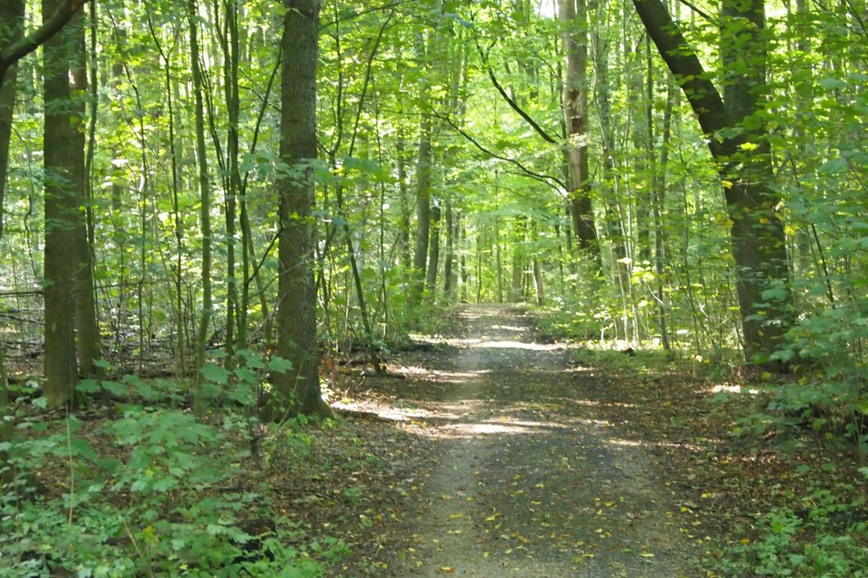 Day in Hotel Station Amstelveen