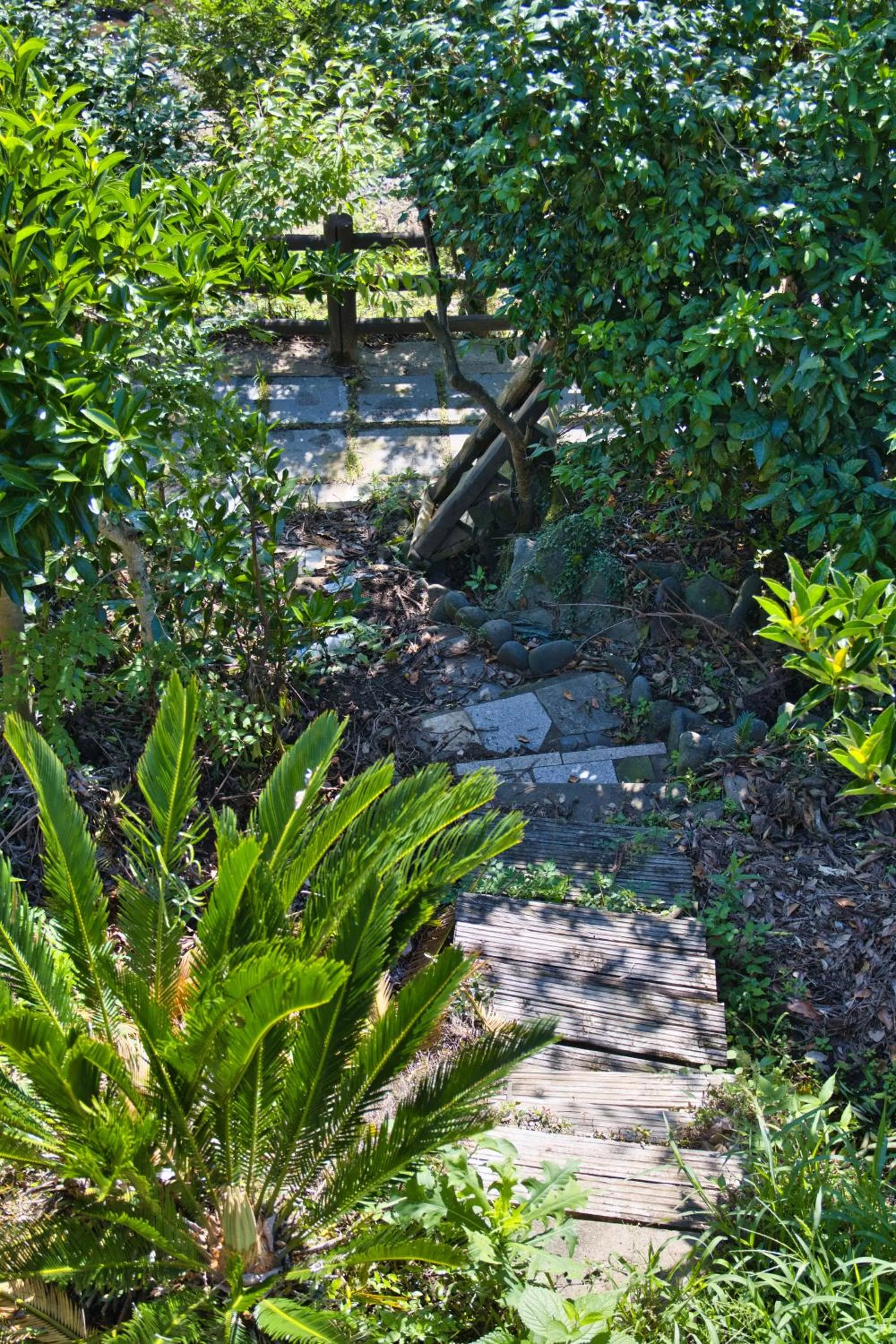 Garden in Seogwipo Beautiful Resort