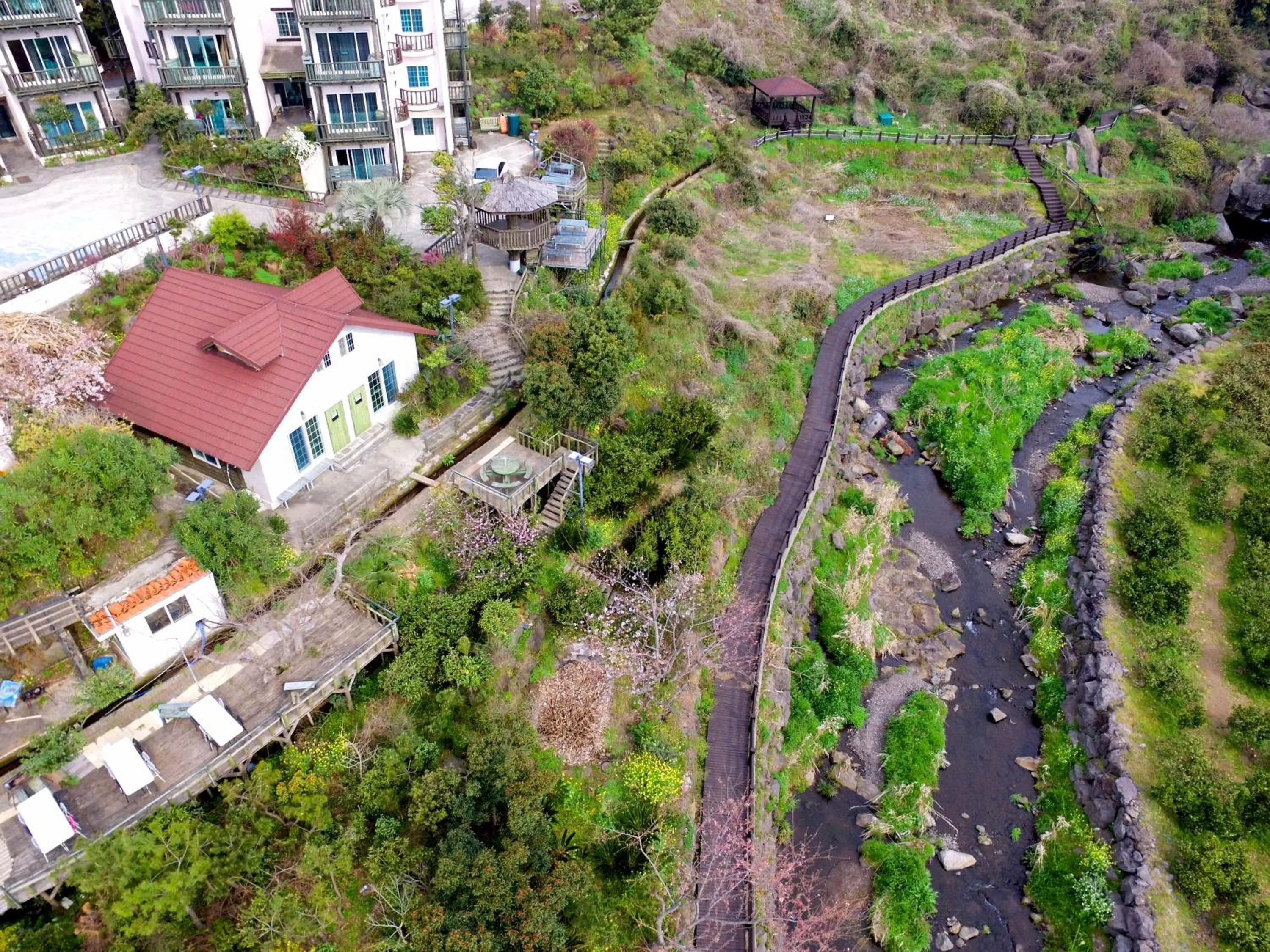 Garden in Seogwipo Beautiful Resort
