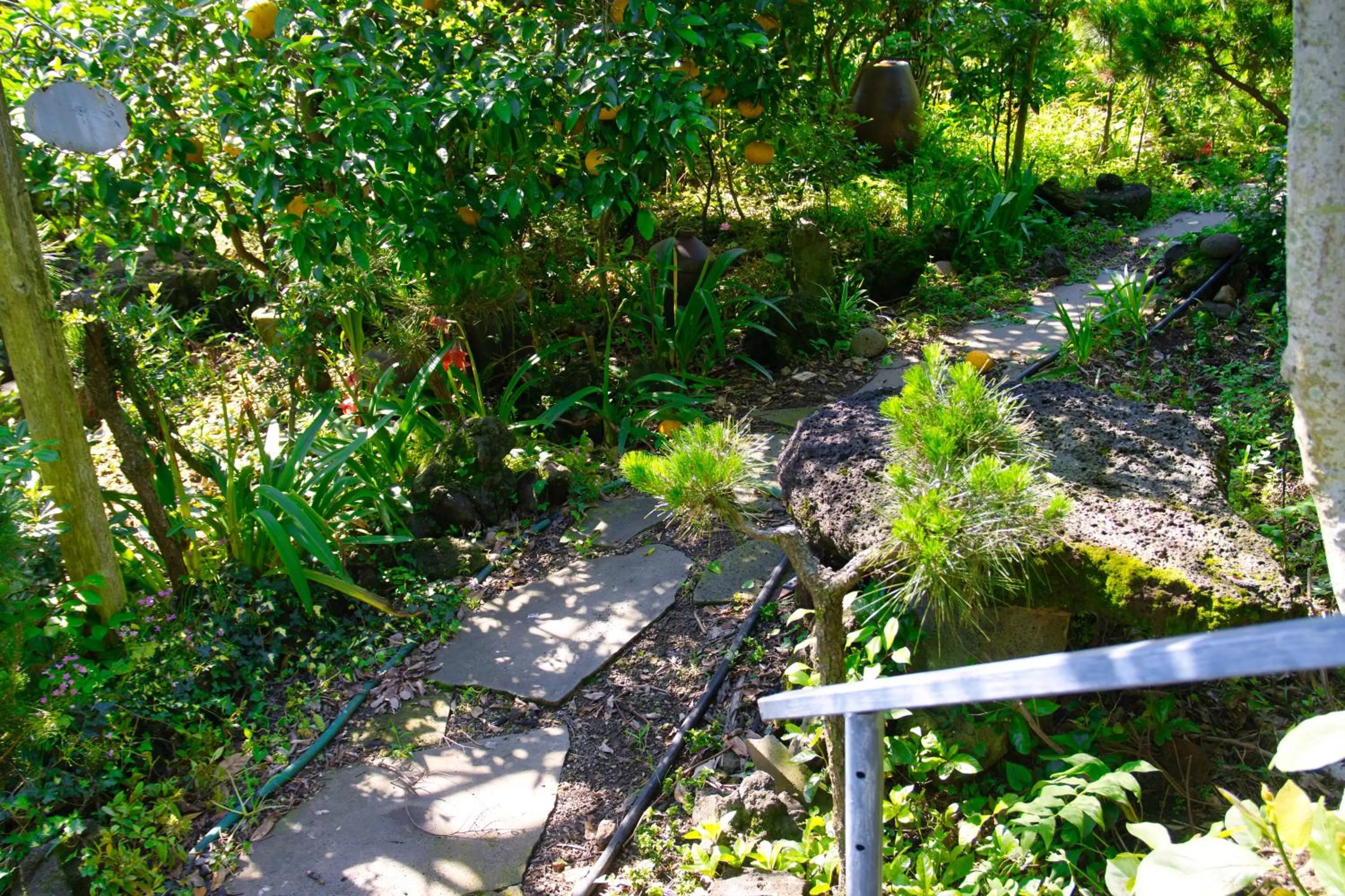 Garden in Seogwipo Beautiful Resort