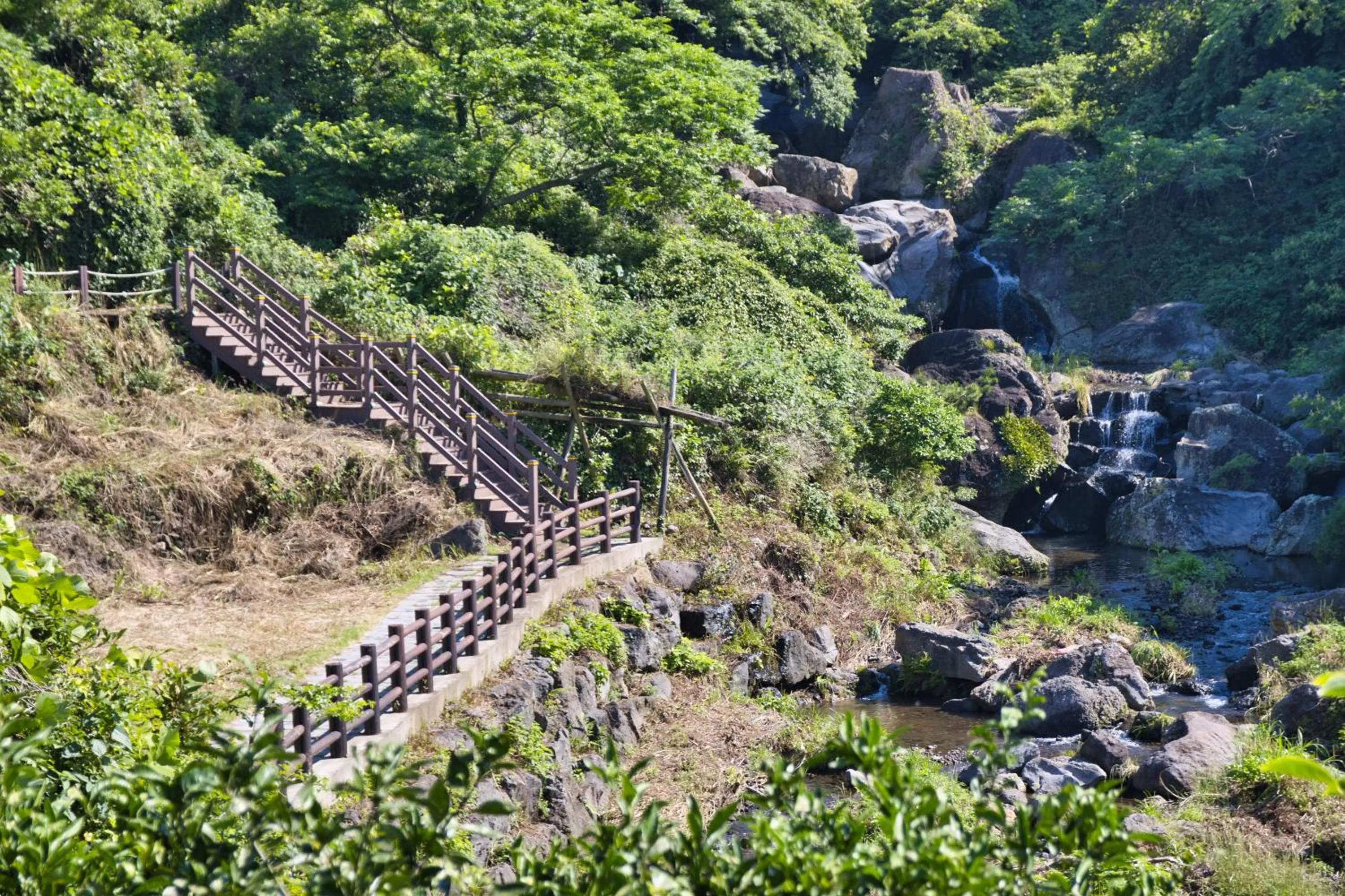 Garden in Seogwipo Beautiful Resort
