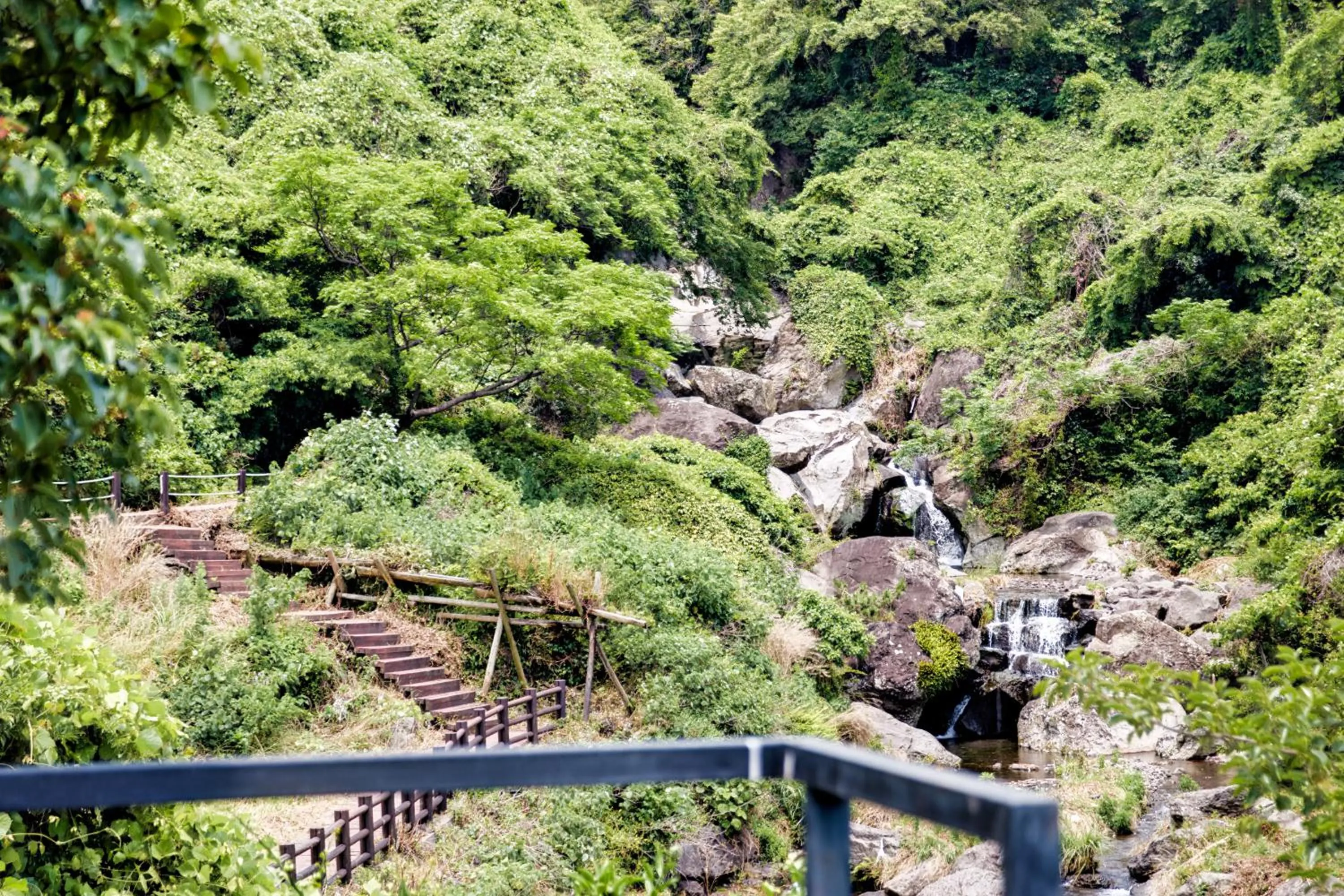 Garden in Seogwipo Beautiful Resort