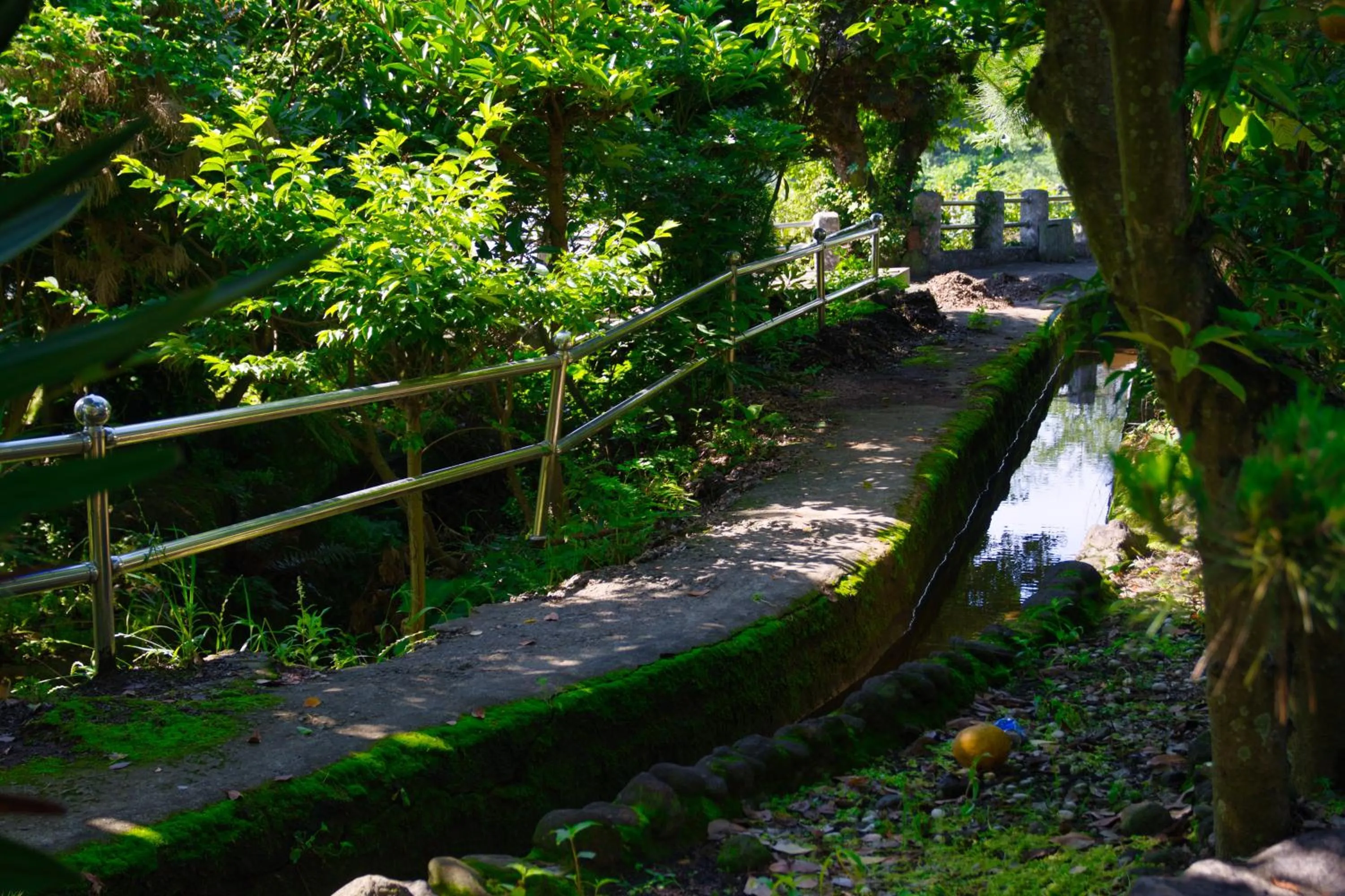 Garden in Seogwipo Beautiful Resort