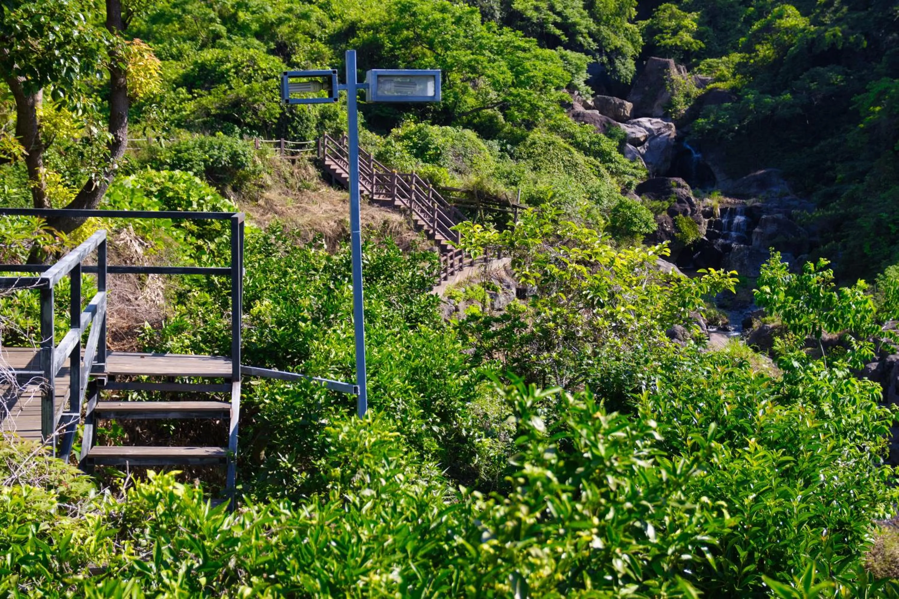 Garden in Seogwipo Beautiful Resort