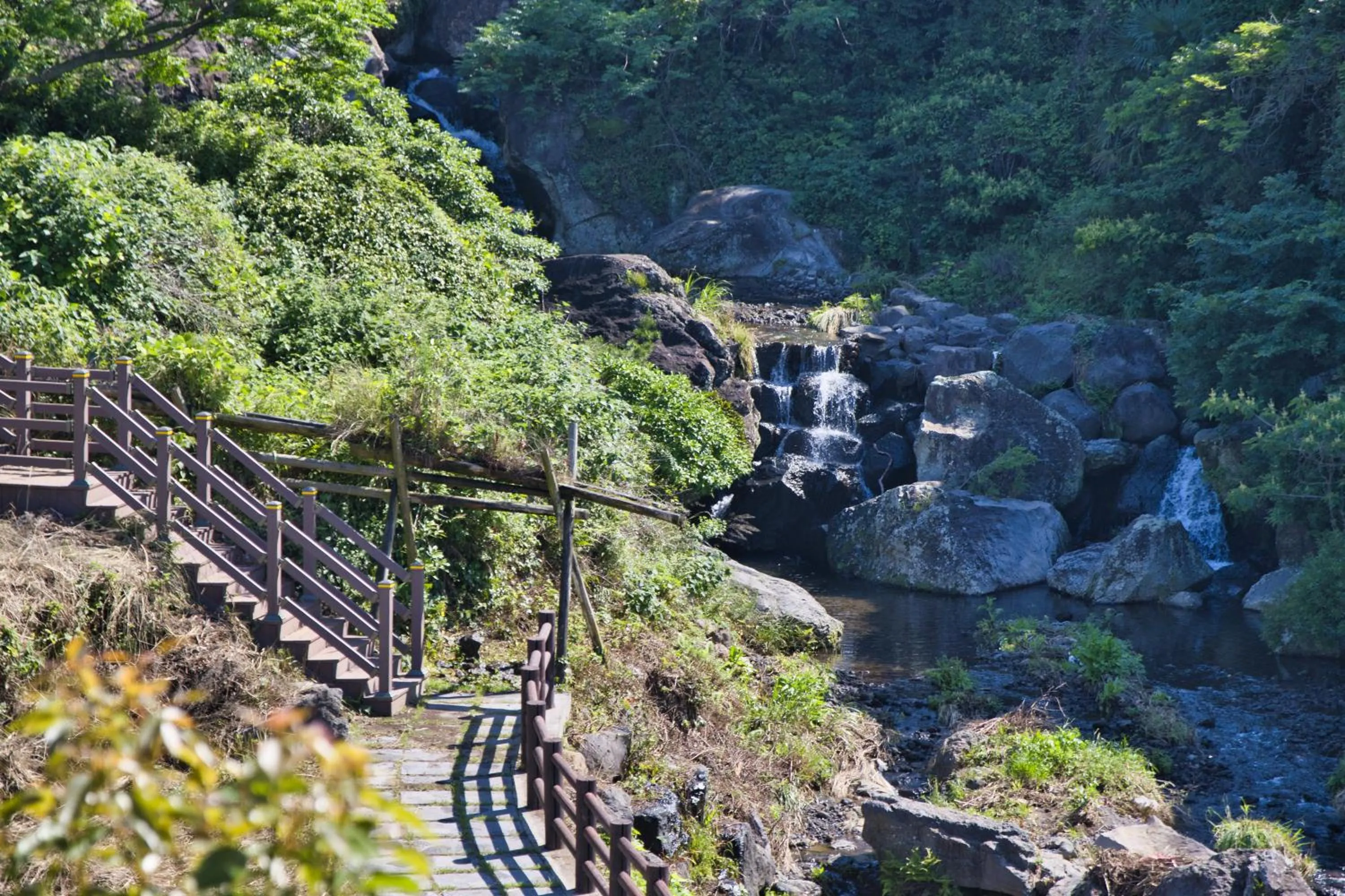 Garden in Seogwipo Beautiful Resort