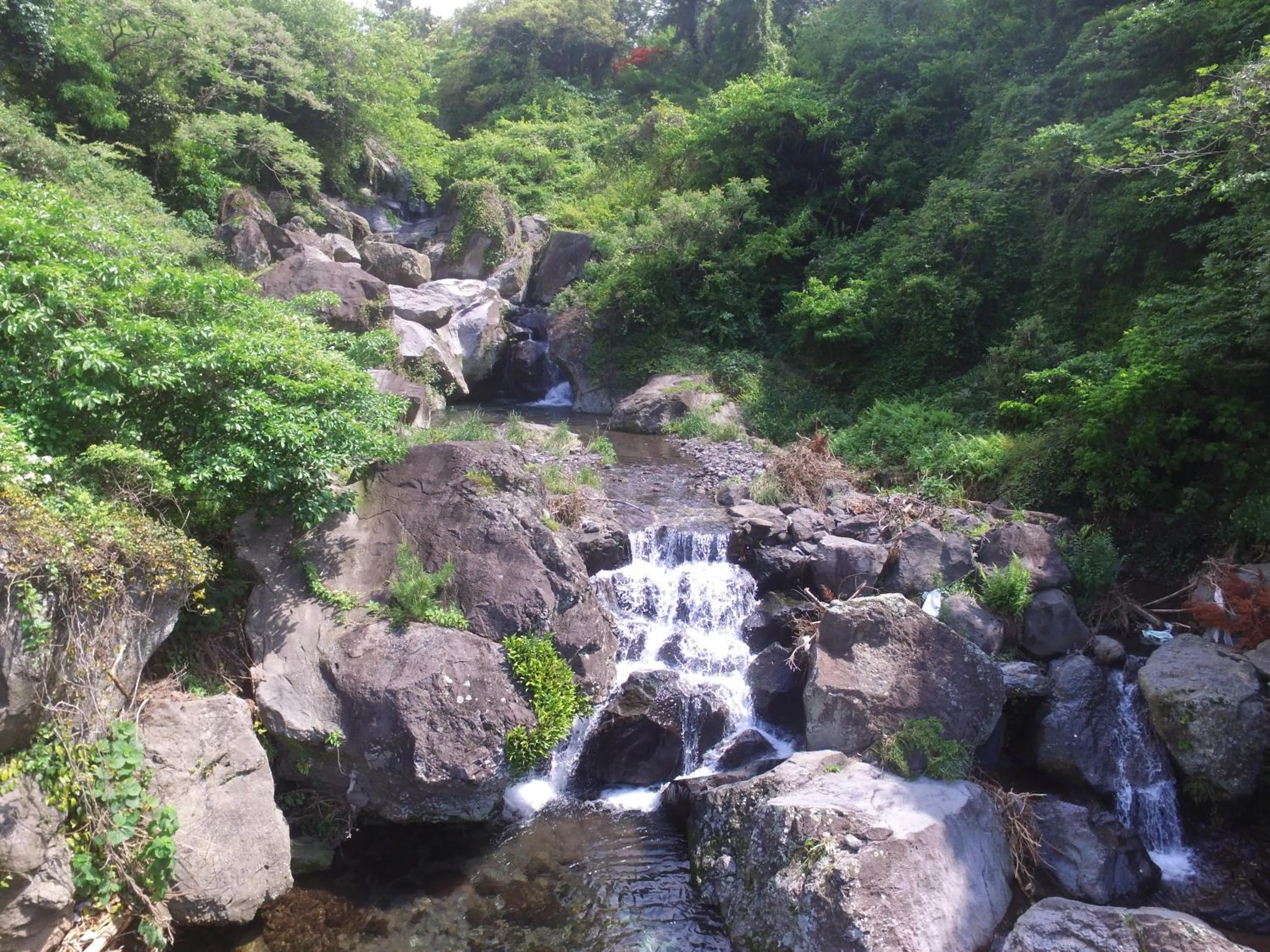 Garden in Seogwipo Beautiful Resort