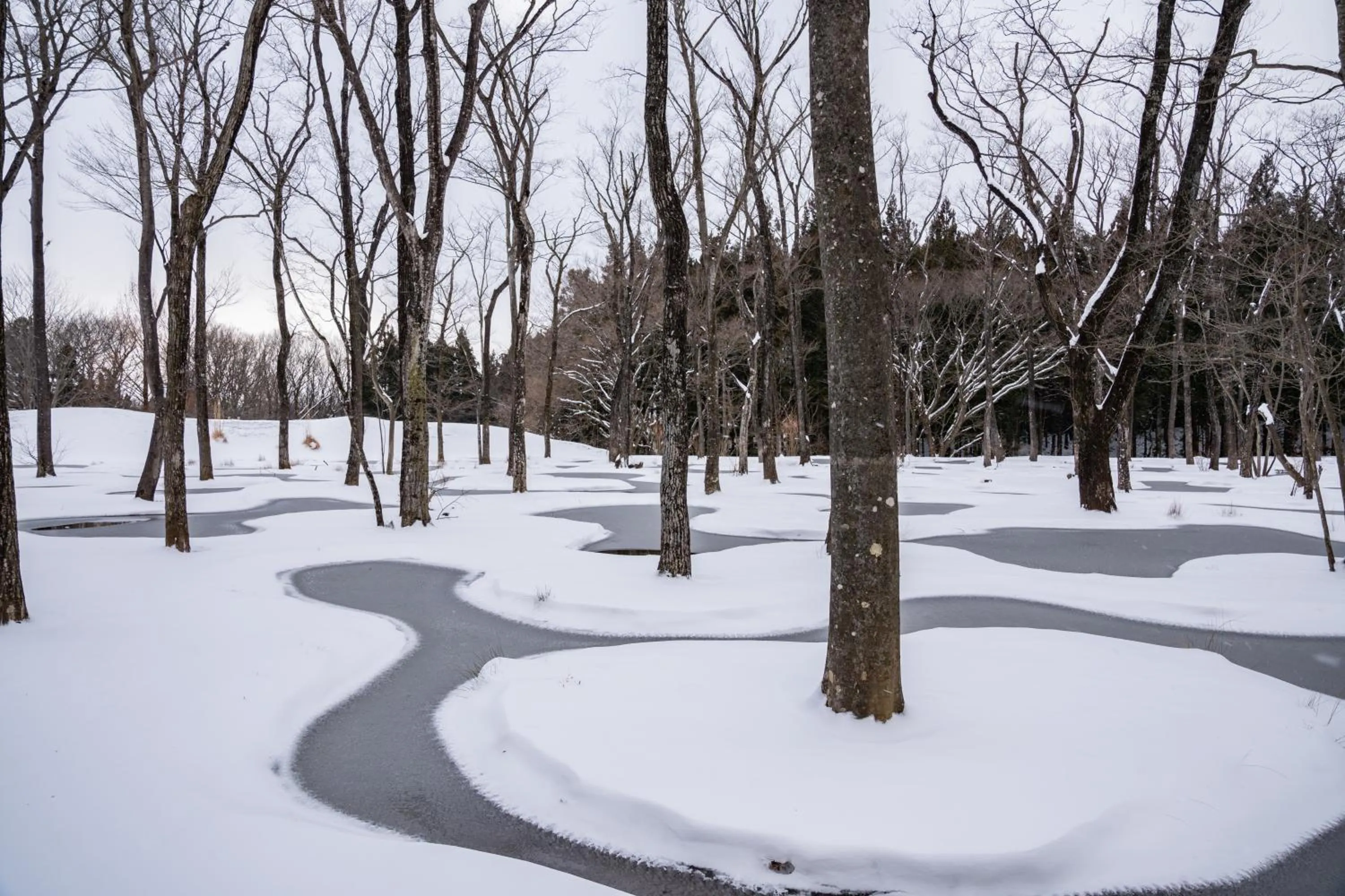 Natural landscape in nasu mukunone AUBERGE