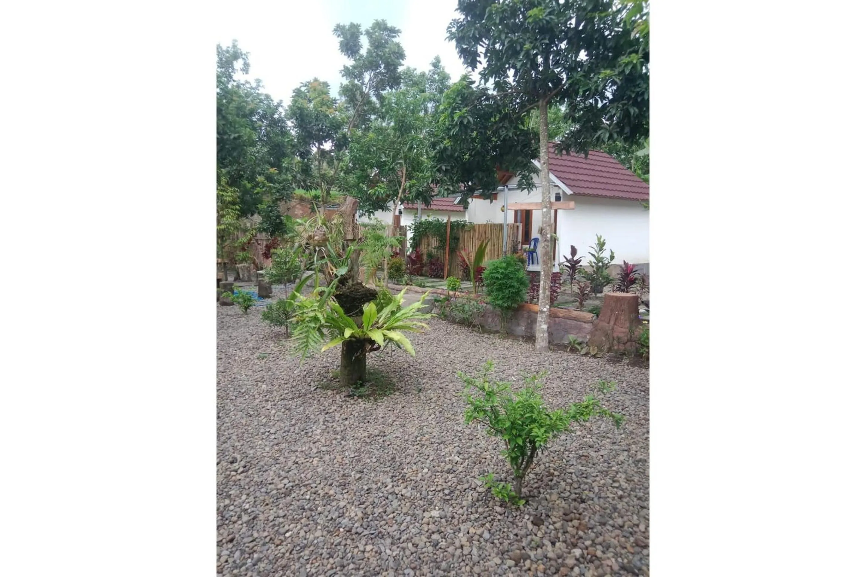 Lobby or reception in Hotel O Avocado Homestay