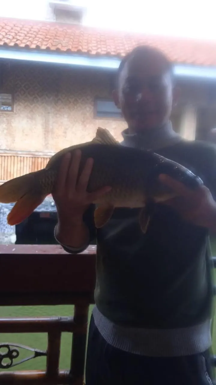 Fishing in Resort Prima Cisarua