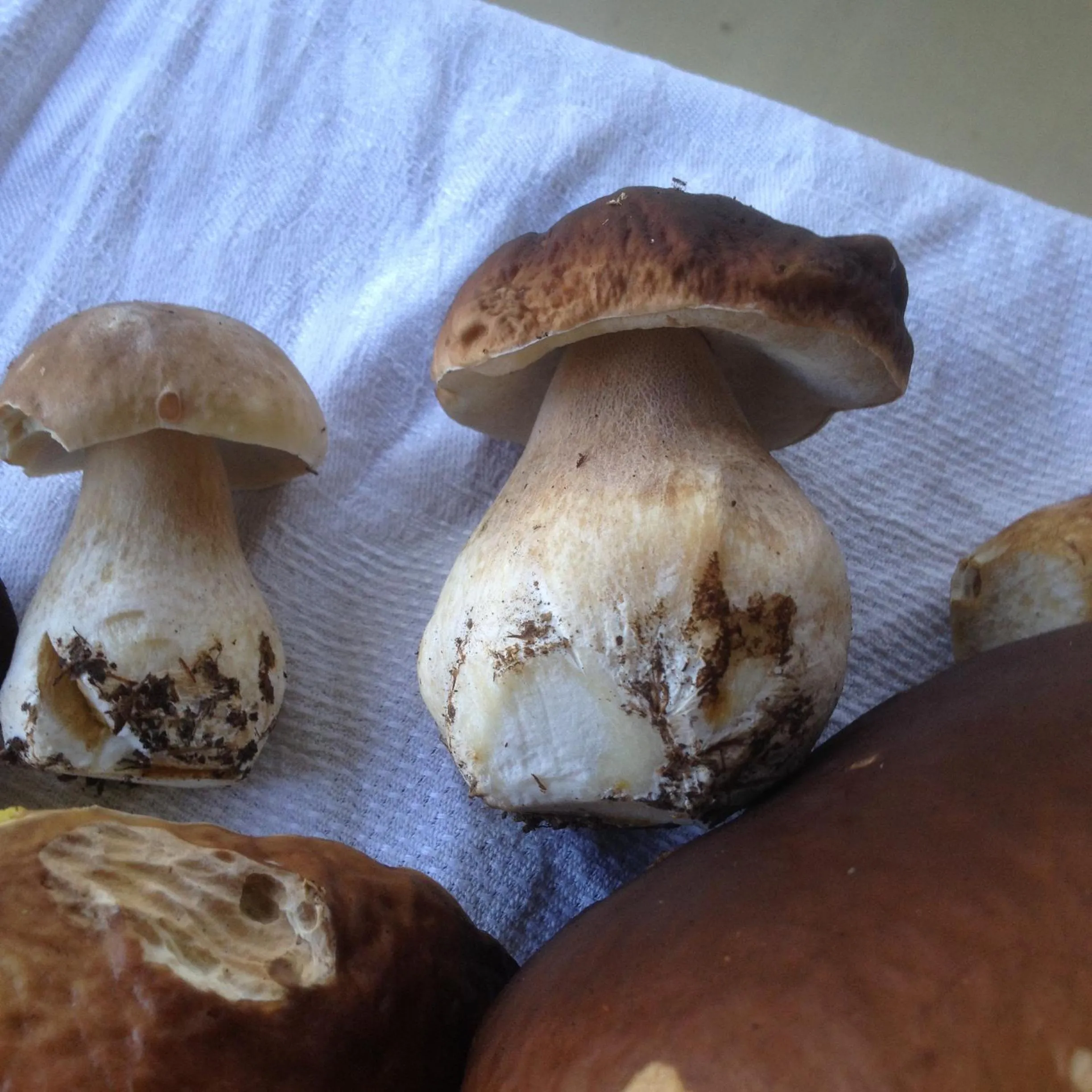 Off site in Lilla Trulla Gårdshotell - Feels like home