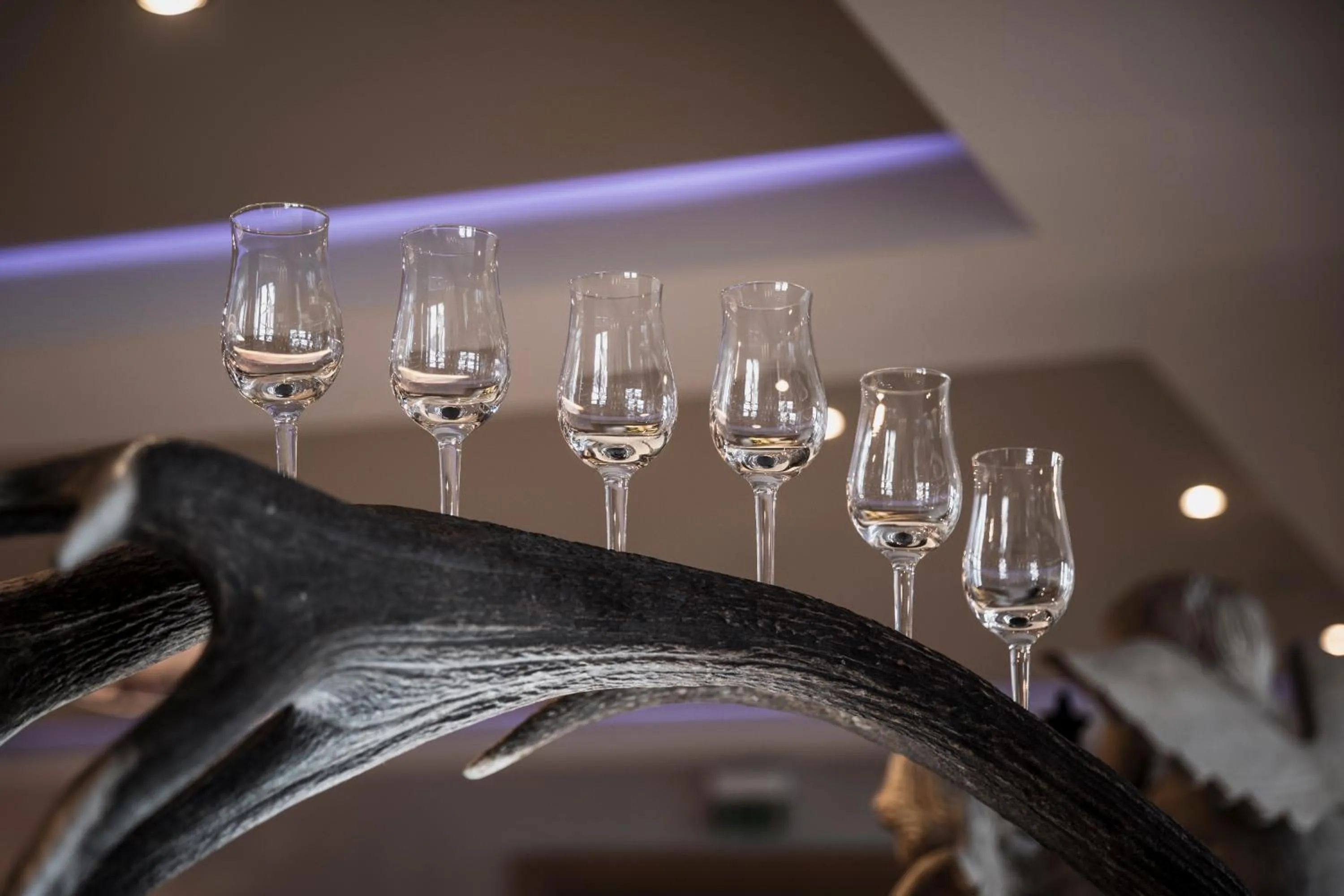 Restaurant/places to eat in Verwöhn-Wellnesshotel Walserhof