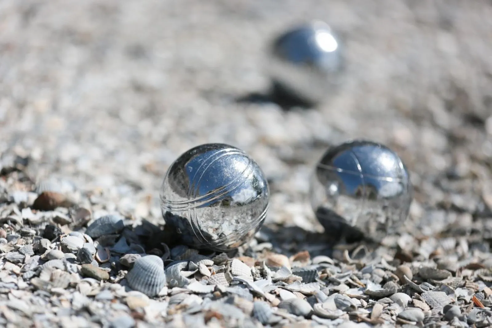 Activities in Vlierijck