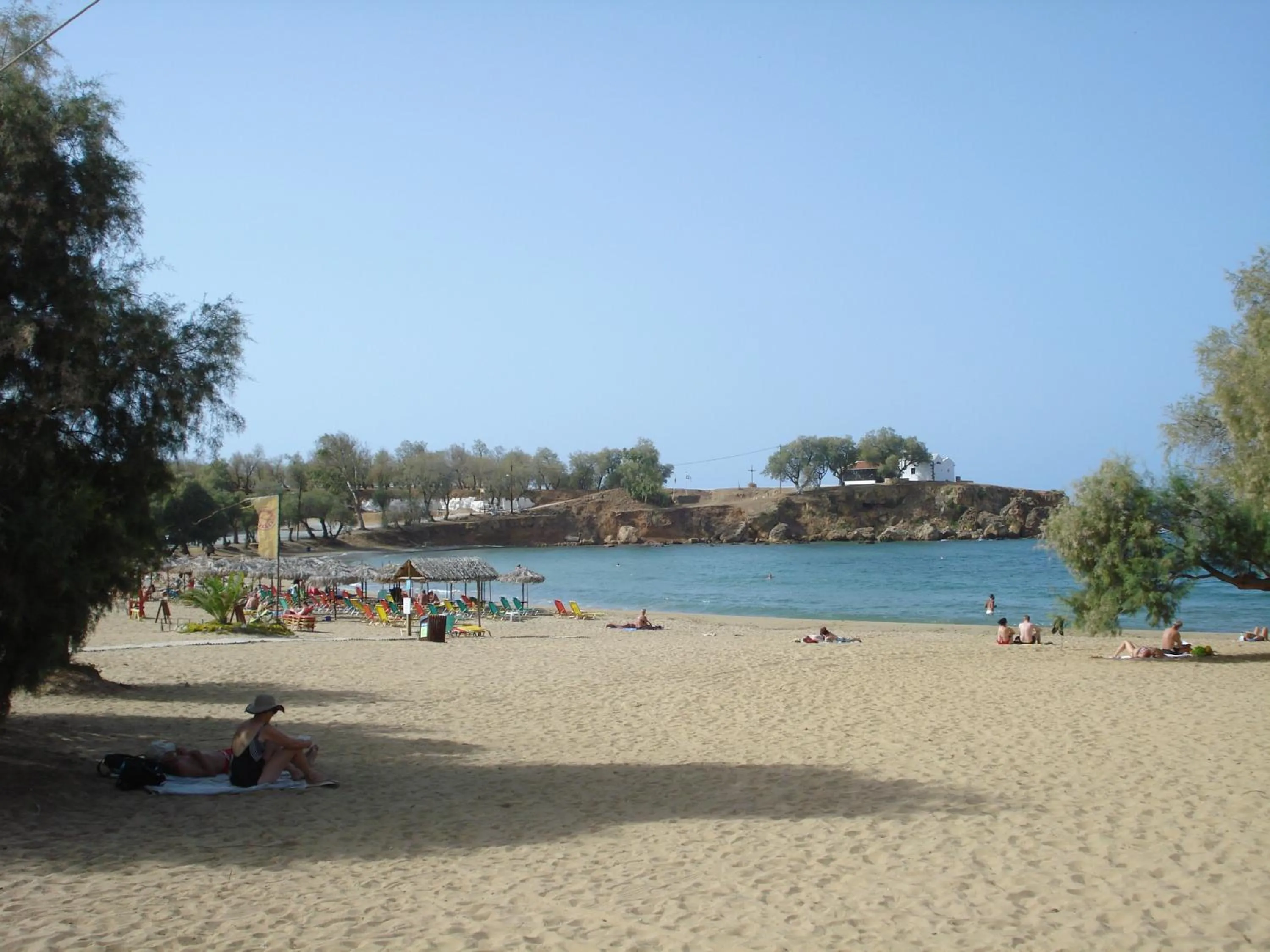 Activities in Zinovia