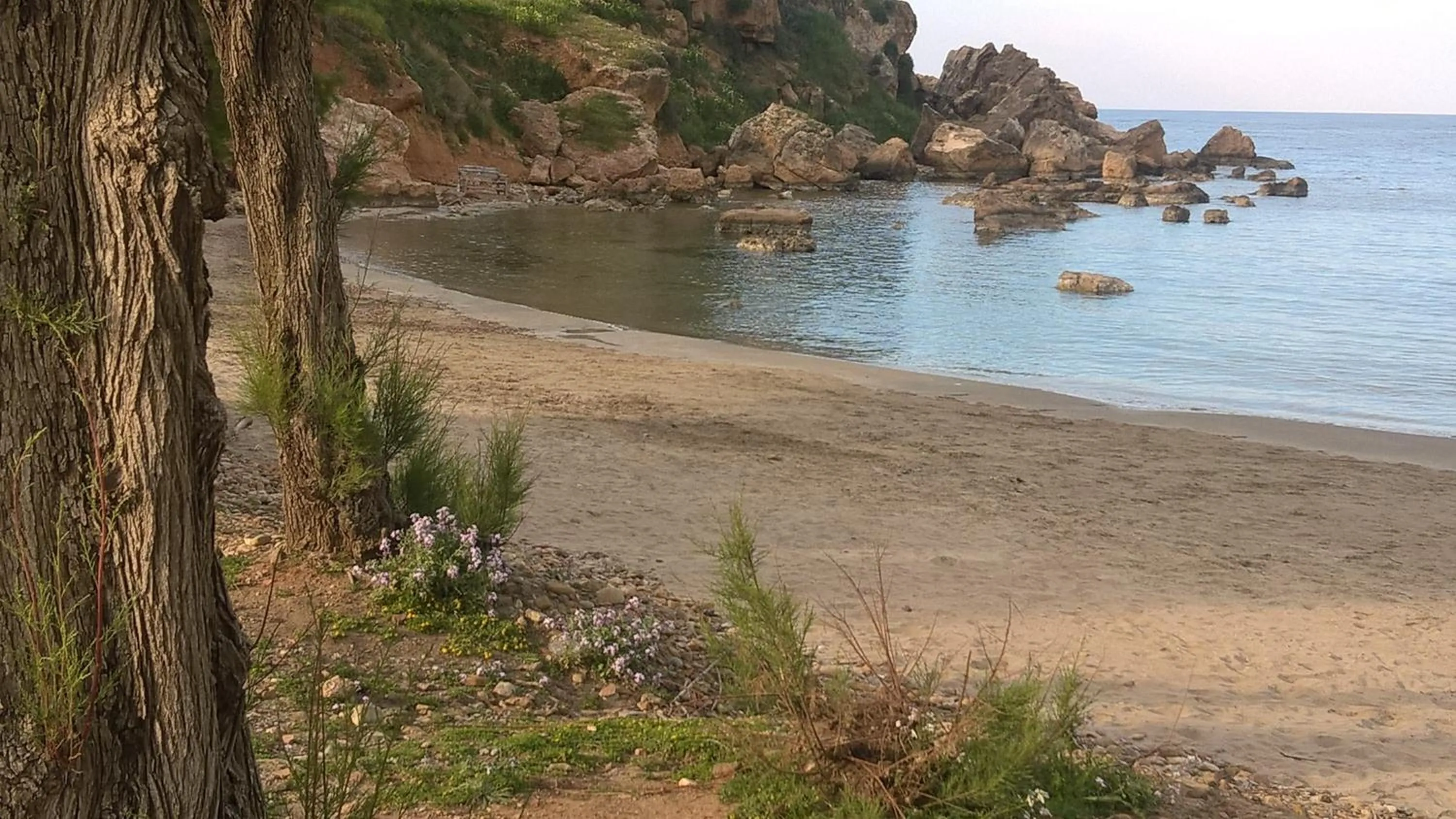 Natural landscape in Zinovia