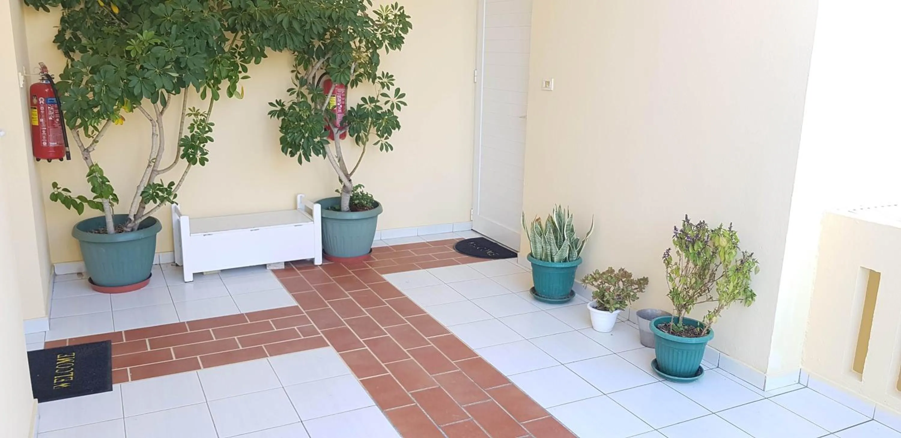 Facade/entrance in Zinovia