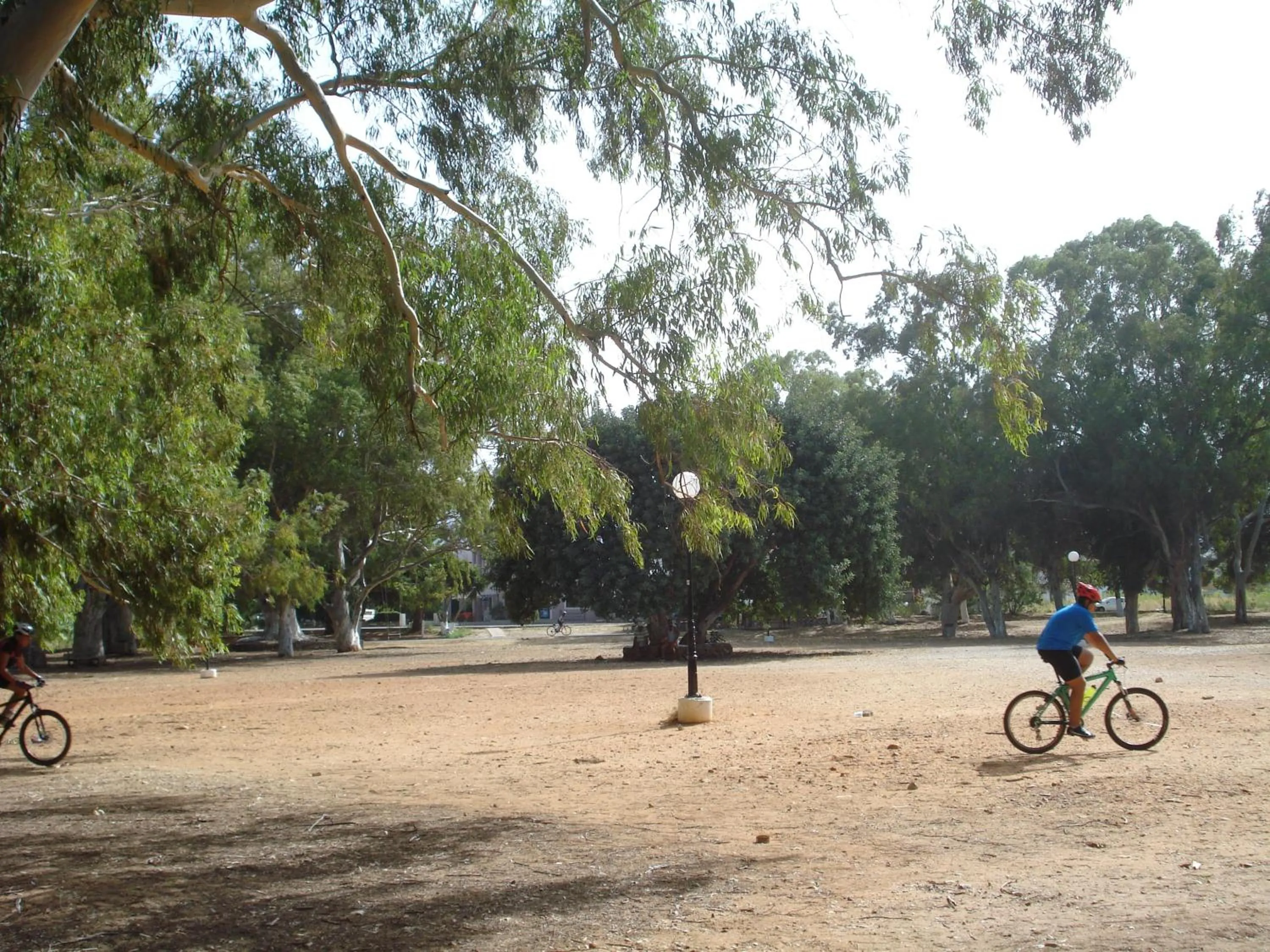 Activities in Zinovia