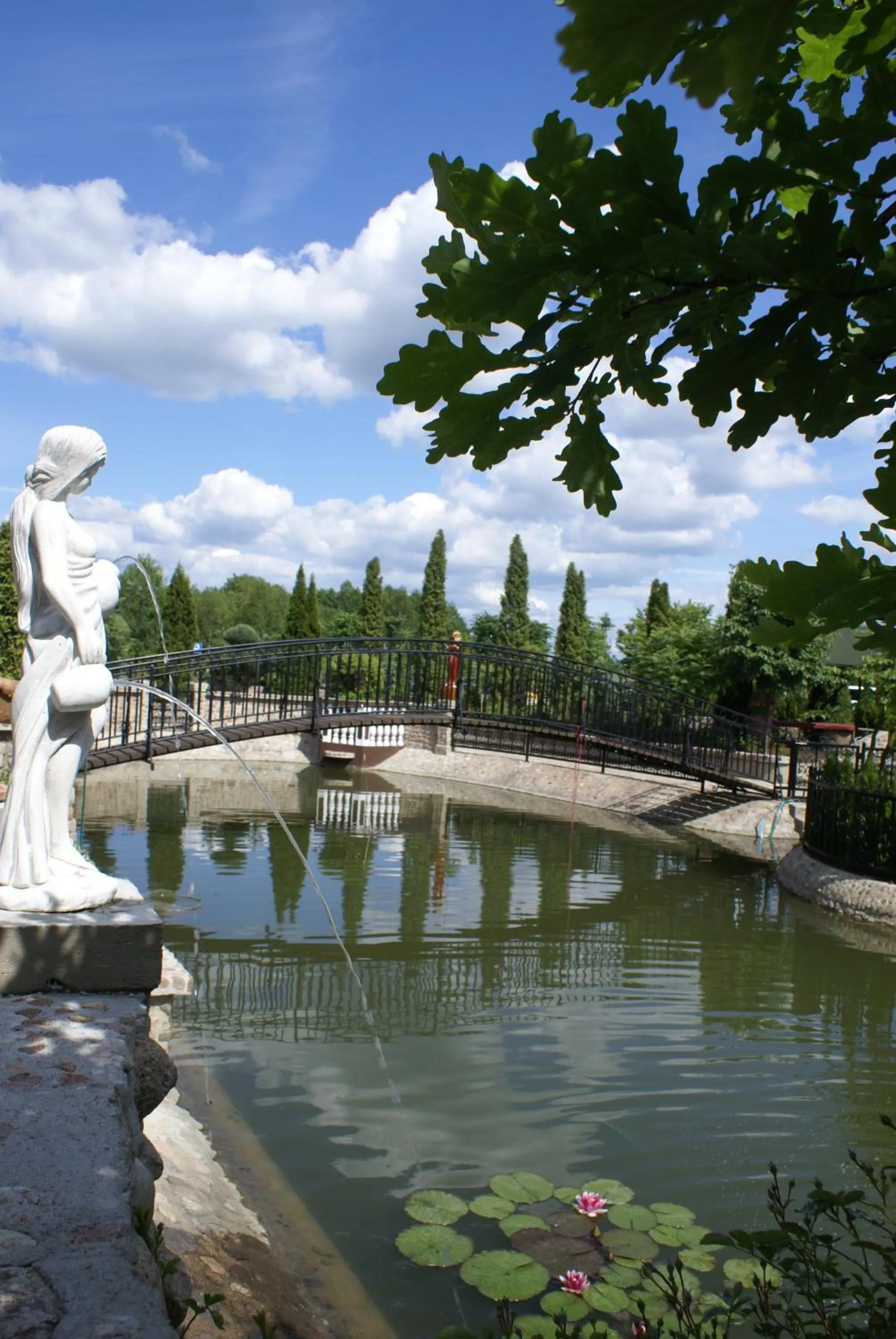 Natural landscape in Dwór Bartnika