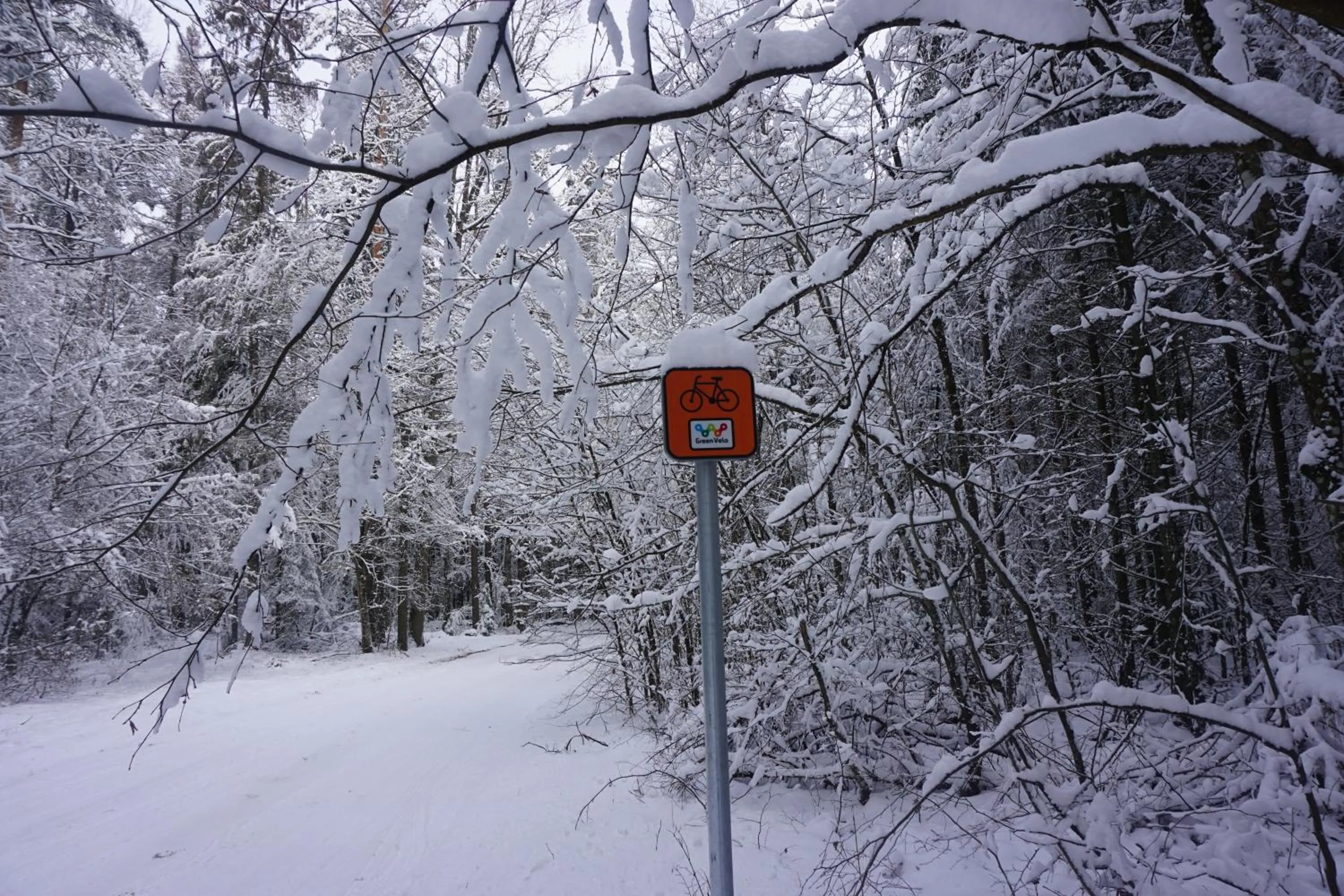 Cycling in Dwór Bartnika