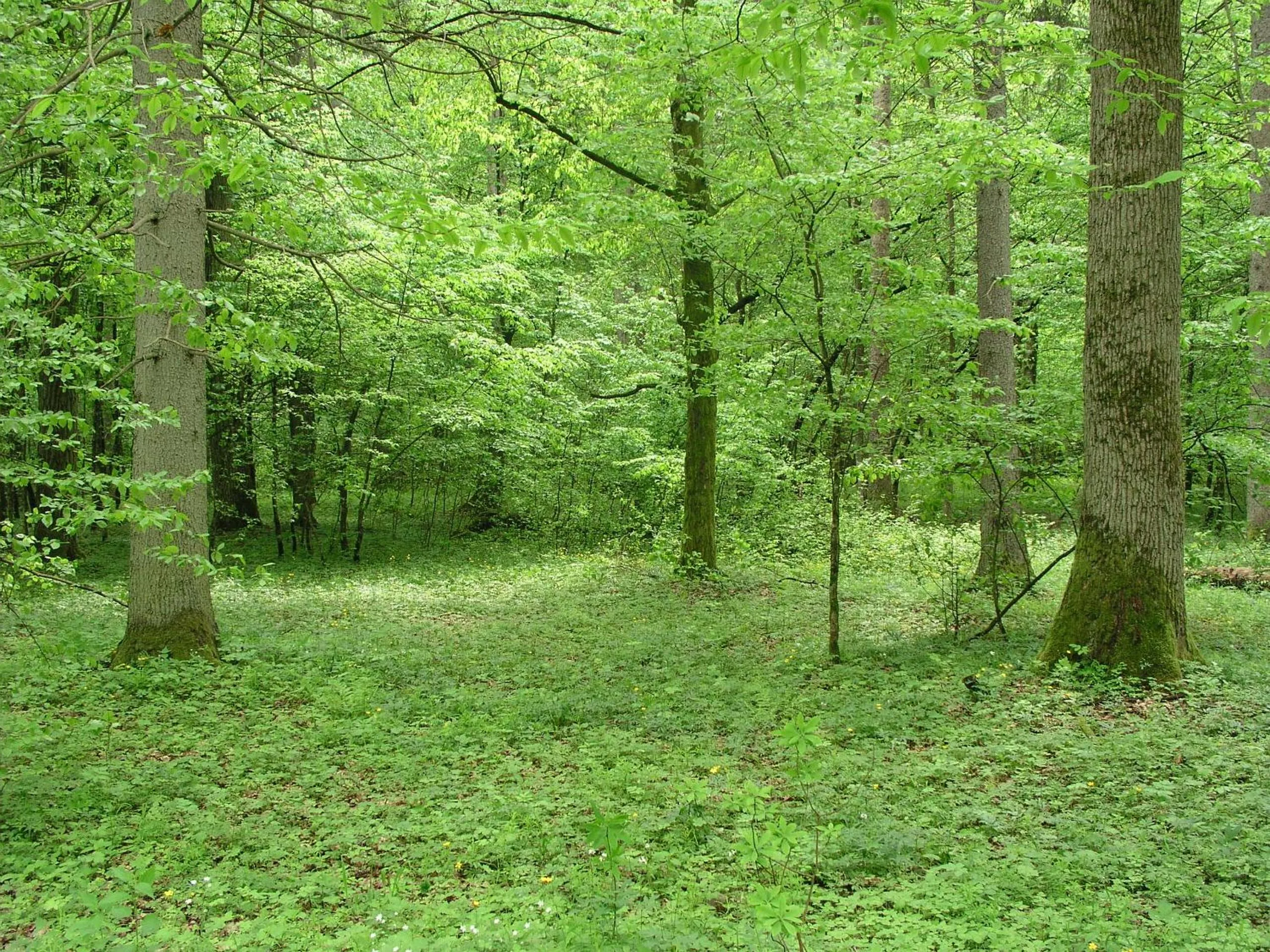 Activities in Dwór Bartnika