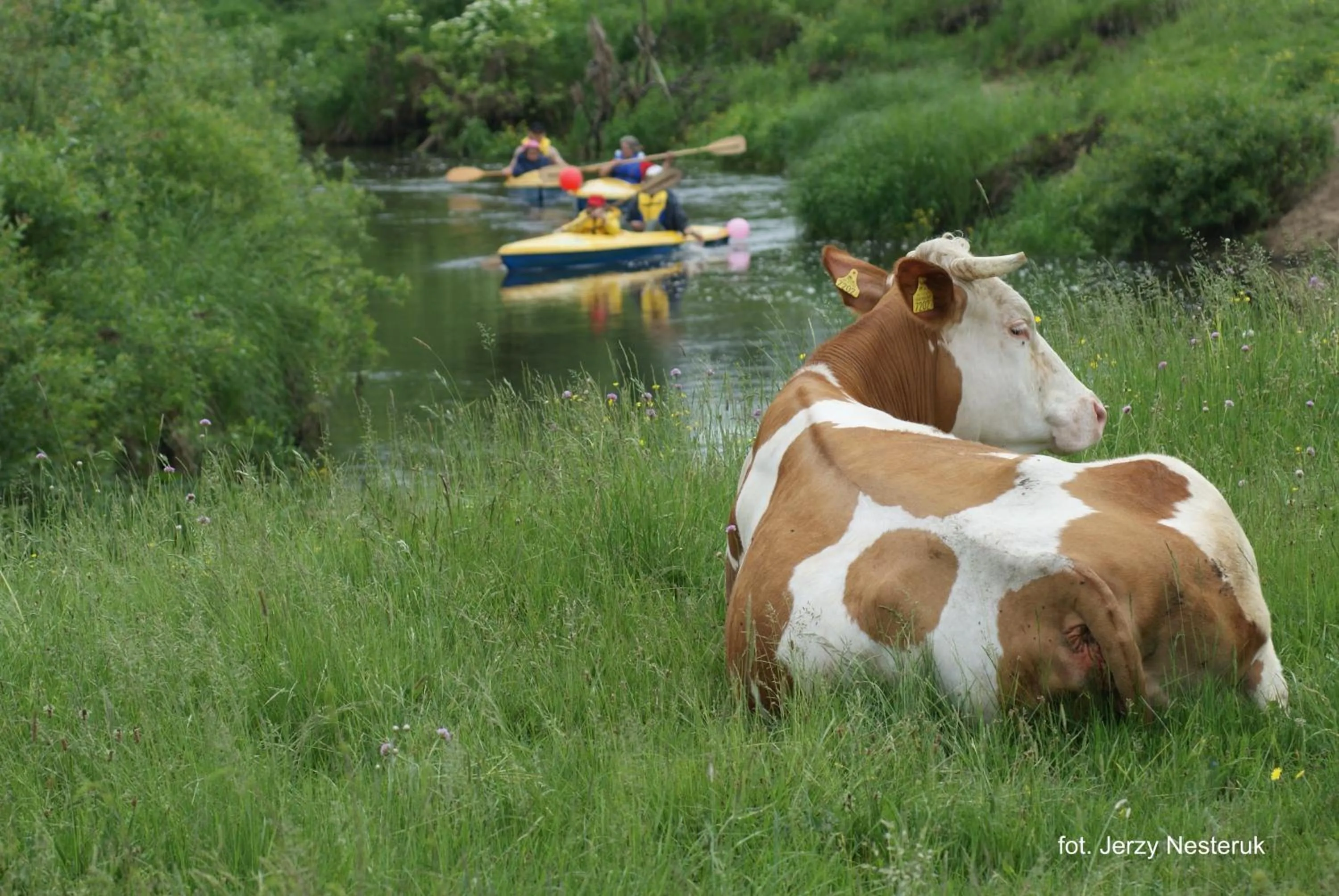 Area and facilities in Dwór Bartnika