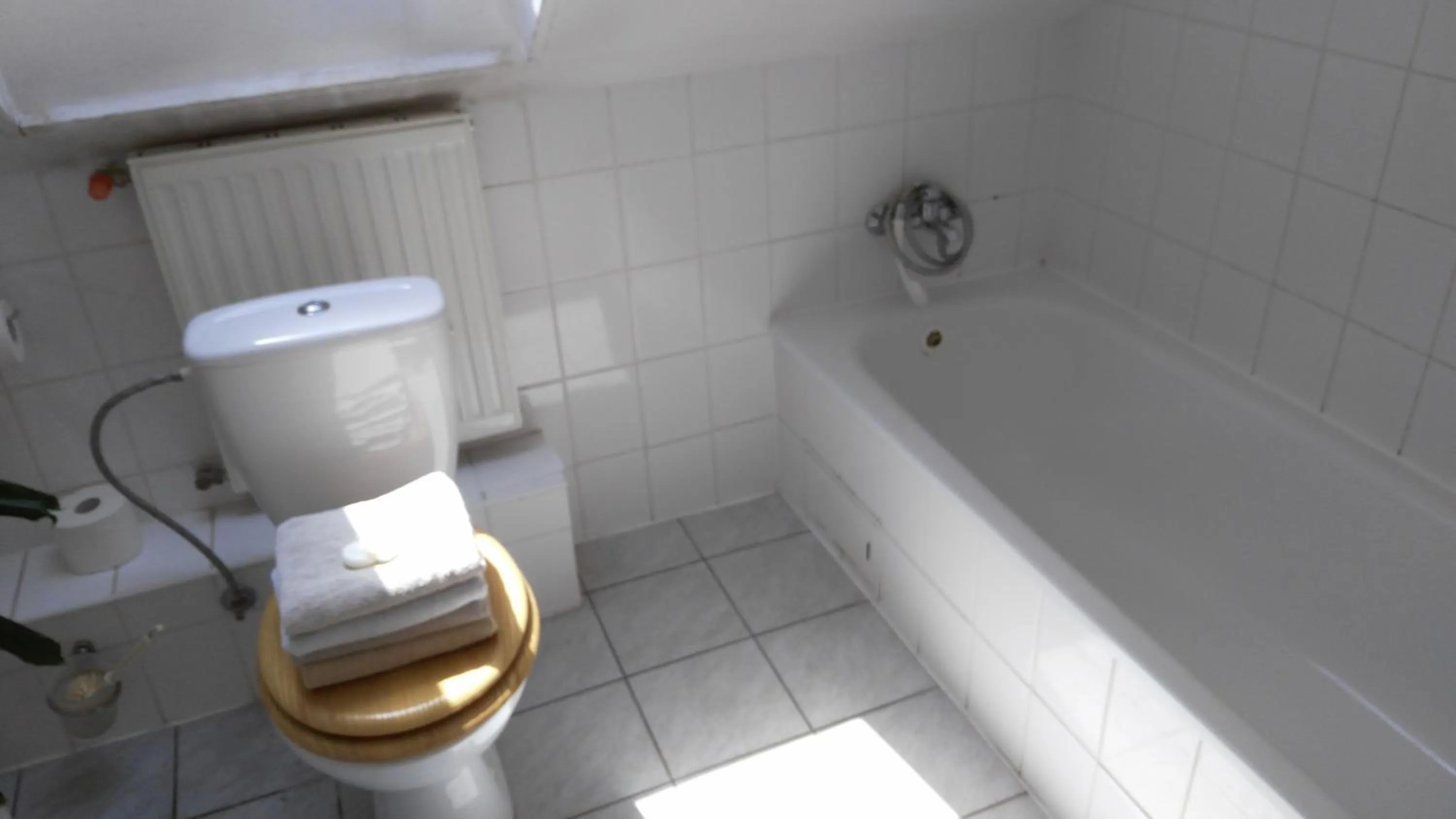 Bathroom in Pension Egida