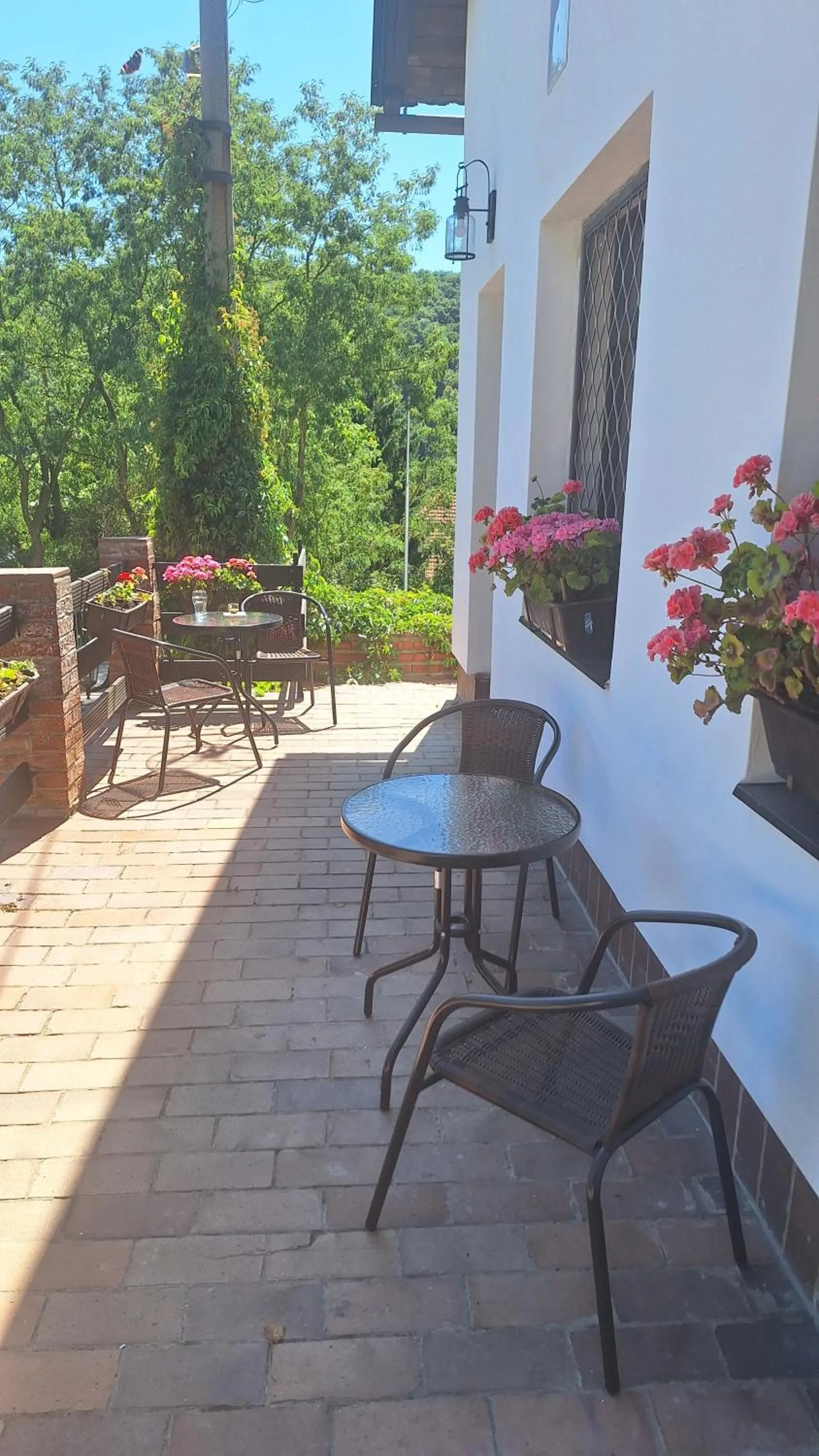 Balcony/Terrace in Pension Egida
