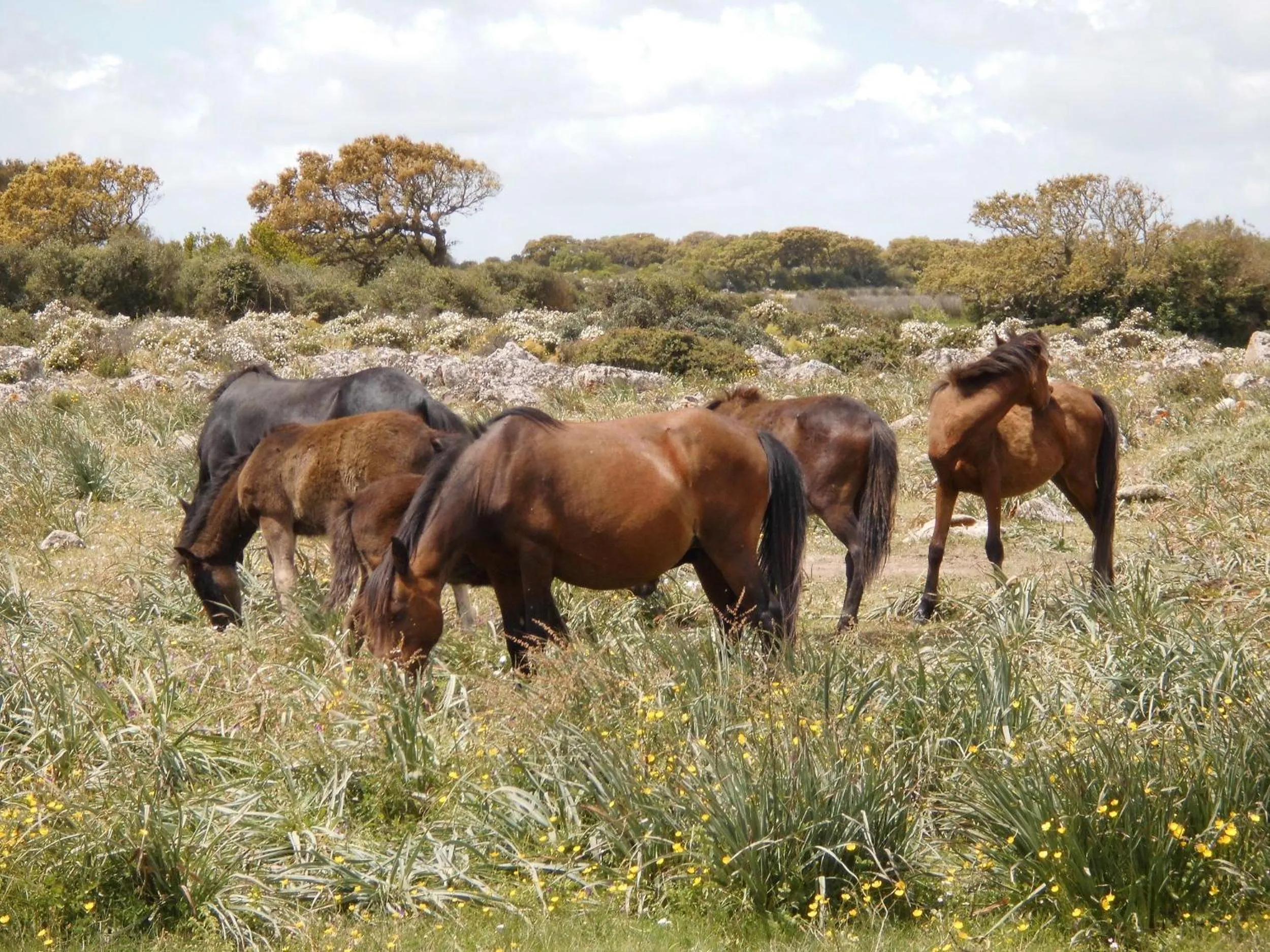 Nearby landmark in Il Borgo dell'Arcangelo