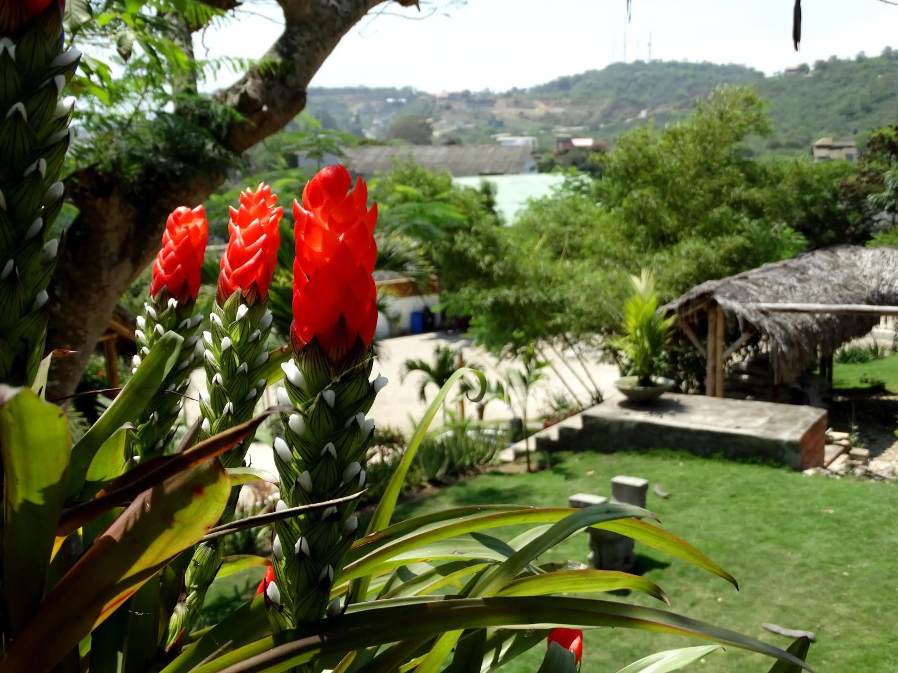 Spring in Nativa Bambu Ecolodge
